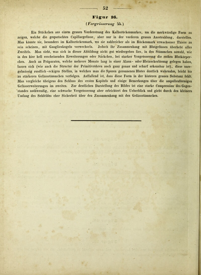 Figur 16. ( Vergrösserung 55.) Ein Stückchen aus einem grauen Vorderstrang des Kalhsrückenmarkes, um die merkwürdige Form zu zeigen, welche die gequetschten Capillargefässe, aber nur in der vorderen grauen Ausstrahlung, darslellen. Man könnte sie, besonders im Kalbsrückenmark, wo sie zahlreicher als im Rückenmark erwachsener Thiere zu sein scheinen, mit Ganglienkugeln verwechseln. Jedoch ihr Zusammenhang mit Blutgefässen überhebt alles Zweifels. Man sieht, was sich in dieser Abbildung nicht gut wiedergeben lies, in den Stämmchen sowohl, wie in den hier hell erscheinenden Erweiterungen oder Säckchen, bei starker Vergrösserung die rothen Blutkörper- chen. Auch an Präparaten, welche mehrere Monate lang in einer Alaun- oder Bleizuckerlösung gelegen haben, lassen sich (wie auch die Structur der Primitivröhren noch ganz genau und scharf erkennbar ist), diese unre- gelmässig rundlich-eckigen Stellen, in welchen man die Spuren geronnenen Blutes deutlich wahrnahm, leicht bis zu stärkeren Gefässstäminchen verfolgen. Auffallend ist, dass diese Form in der hinteren grauen Substanz fehlt. Man vergleiche übrigens den Schluss des ersten Kapitels und einige Bemerkungen über die ampulleuförmigen Gefässerweiterungen im zweiten. Zur deutlichen Darstellung des Bildes ist eine starke Compression des Gegen- standes nothwendig, eine schwache Vergrösserung aber erleichtert den Ueberblick und giebt durch den kleinern Umfang des Sehfeldes eher Sicherheit über den Zusammenhang mit den Gefässstäminchen. \