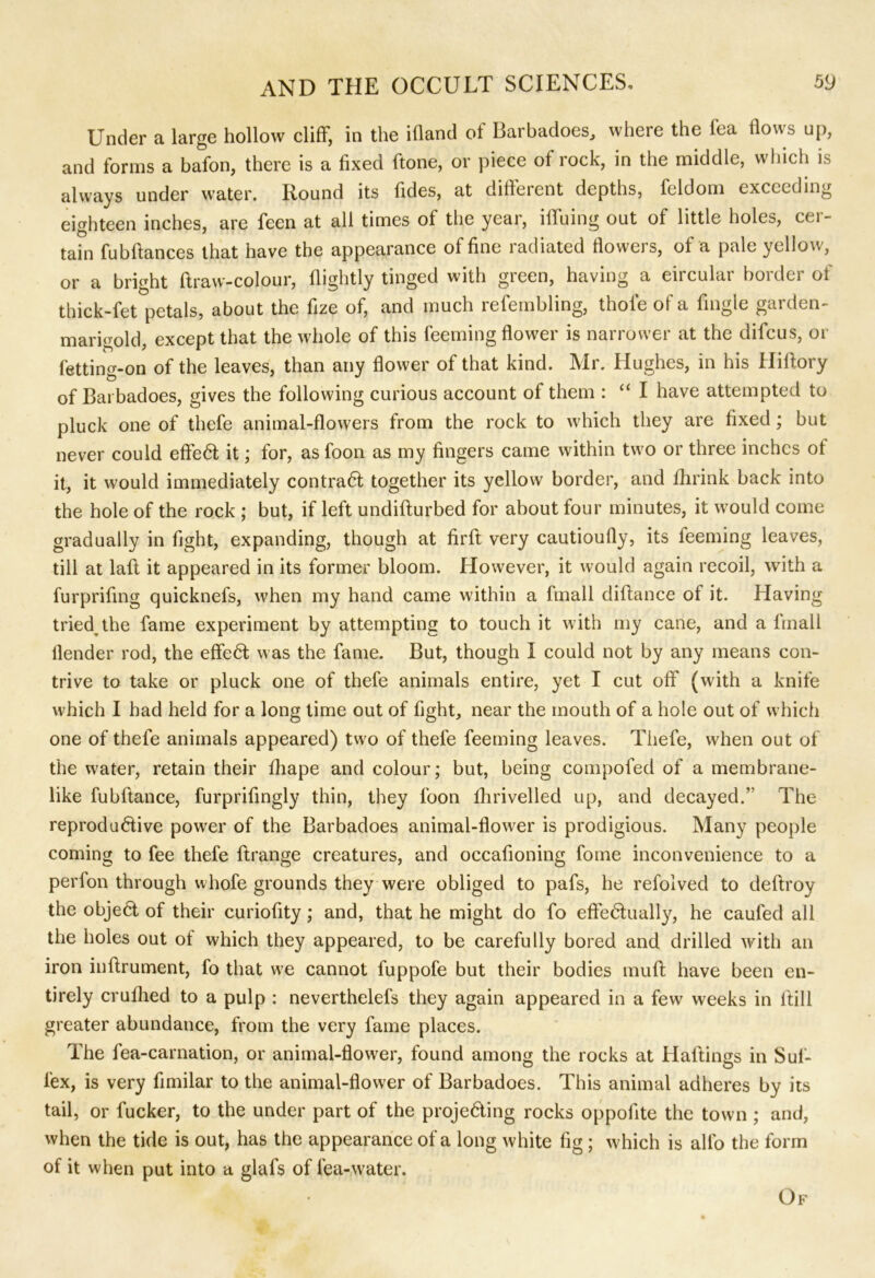 Under a large hollow cliff, in the illand of Barbadoes, where the fea flows up, and forms a bafon, there is a fixed ftone, or piece of rock, in the middle, which is always under water. Round its fides, at different depths, feldom exceeding eighteen inches, are fecn at all times of the year, iffuing out of little holes, cer- tain fubftances that have the appearance of fine radiated flowers, of a pale yellow, or a bright draw-colour, flightly tinged with green, having a eircular border of thick-fet petals, about the fize of, and much refembling, thole ol a Angle gai den- marigold, except that the whole of this feeming flower is narrower at the difcus, or fetting-on of the leaves, than any flower of that kind. Mr. Hughes, in his Hiftory of Barbadoes, gives the following curious account of them : “ I have attempted to pluck one of thefe animal-flowers from the rock to which they are fixed; but never could effeCt it; for, as foon as my fingers came within two or three inches of it, it would immediately contraCl together its yellow border, and fhrink back into the hole of the rock ; but, if left undiflurbed for about four minutes, it would come gradually in fight, expanding, though at firfl very cautioufly, its feeming leaves, till at lafl it appeared in its former bloom. However, it would again recoil, with a furpriflng quicknefs, when my hand came within a fmall diflance of it. Having triedthe fame experiment by attempting to touch it with my cane, and a fmall llender rod, the effeCt was the fame. But, though I could not by any means con- trive to take or pluck one of thefe animals entire, yet I cut off (with a knife which I had held for a long time out of fight, near the mouth of a hole out of which one of thefe animals appeared) two of thefe feeming leaves. Thefe, when out of the water, retain their fhape and colour; but, being compofed of a membrane- like fubftance, furprifingly thin, they foon lhrivelled up, and decayed.” The reproductive power of the Barbadoes animal-flower is prodigious. Many people coming to fee thefe ftrange creatures, and occafioning fome inconvenience to a perfon through whofe grounds they were obliged to pafs, he refolved to deftroy the objeCt of their curiofity; and, that he might do fo effectually, he caufed all the holes out of which they appeared, to be carefully bored and drilled with an iron inflrument, fo that we cannot fuppofe but their bodies muft have been en- tirely crufhed to a pulp : neverthelefs they again appeared in a few weeks in ltill greater abundance, from the very fame places. The fea-carnation, or animal-flower, found among the rocks at Mailings in Suf- l'ex, is very fimilar to the animal-flower of Barbadoes. This animal adheres by its tail, or fucker, to the under part of the projecting rocks oppofite the town ; and, when the tide is out, has the appearance of a long white fig; which is alfo the form of it when put into a glafs of fea-water. Of