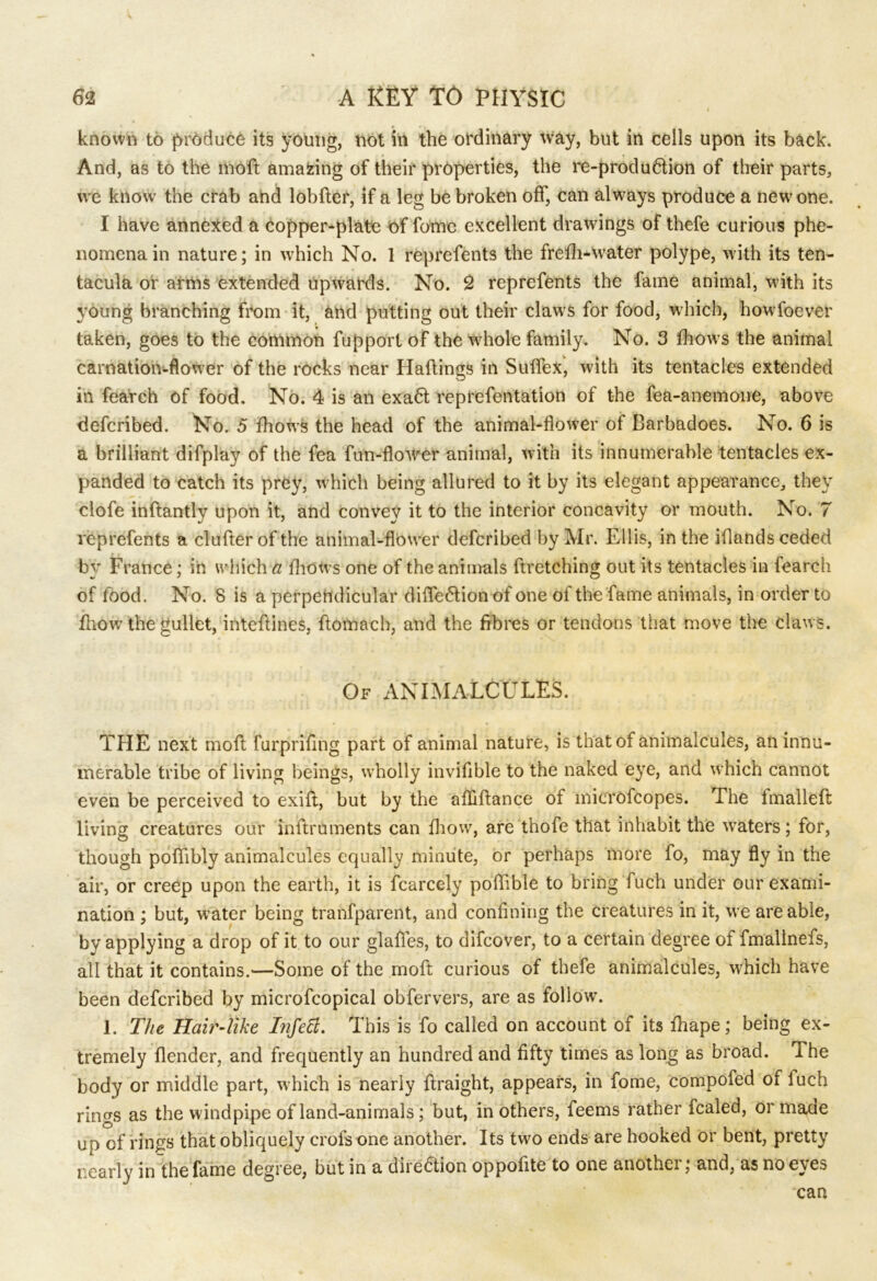 I known to produce its young, not in the ordinary way, but in cells upon its back. And, as to the moft amafcing of their properties, the re-prod udlion of their parts, we know the crab and lobfter, if a leg be broken off, can always produce a new one. I have annexed a copper-plate of fomc excellent drawings of thefe curious phe- nomena in nature; in which No. 1 reprefents the frefh-water polype, with its ten- tacula or arms extended upwards. No. 2 reprefents the fame animal, with its young branching from it, and putting out their claws for food, which, howfoever taken, goes to the common fupport of the wdiole family. No. 3 fhows the animal carnation-flower of the rocks near Haftings in Suflex, with its tentacles extended in fearch of food. No. 4 is an exa6t reprefentation of the fea-anemone, above defcribed. No. 5 fhows the head of the animal-flower of Barbadoes. No. 6 is a brilliant difplay of the fea fun-flower animal, with its innumerable tentacles ex- panded to catch its prey, which being allured to it by its elegant appearance, they clofe inftantly upon it, and convey it to the interior concavity or mouth. No. 7 reprefents a clufter of the animal-flower defcribed by Mr. Ellis, in the iflands ceded by France; in which a fhows one of the animals ftretching out its tentacles in fearch of food. No. 8 is a perpendicular difie6tion of one of the fame animals, in order to fhow the gullet, inteftines, ftomach, and the fibres or tendons that move the claws. Of ANIMALCULES. THE next moft furprifing part of animal nature, is that of animalcules, an innu- merable tribe of living beings, wholly invifible to the naked eye, and which cannot even be perceived to exift, but by the affiftance of microfcopes. The Imalleft living creatures our inftruments can fhow, are thofe that inhabit the wraters; for, though pofiibly animalcules equally minute, or perhaps more fo, may fly in the air, or creep upon the earth, it is fcarcely poffible to bring fuch under our exami- nation ; but, water being tranfparent, and confining the creatures in it, we are able, bv applying a drop of it to our glaffes, to difcover, to a certain degree of fmallnefs, all that it contains.—Some of the moft curious of thefe animalcules, which have been defcribed by microfcopical obfervers, are as follow. 1. The Hair-like Infett. This is fo called on account of its fhape; being ex- tremely (lender, and frequently an hundred and fifty times as long as broad. The body or middle part, w hich is nearly ftraight, appears, in fome, compofed of luch rings as the windpipe of land-animals; but, in others, feems rather fcaled, or maae up of rings that obliquely crofs one another. Its two ends are hooked or bent, pretty nearly in the fame degree, but in a direction oppofite to one another; and, as no eyes can