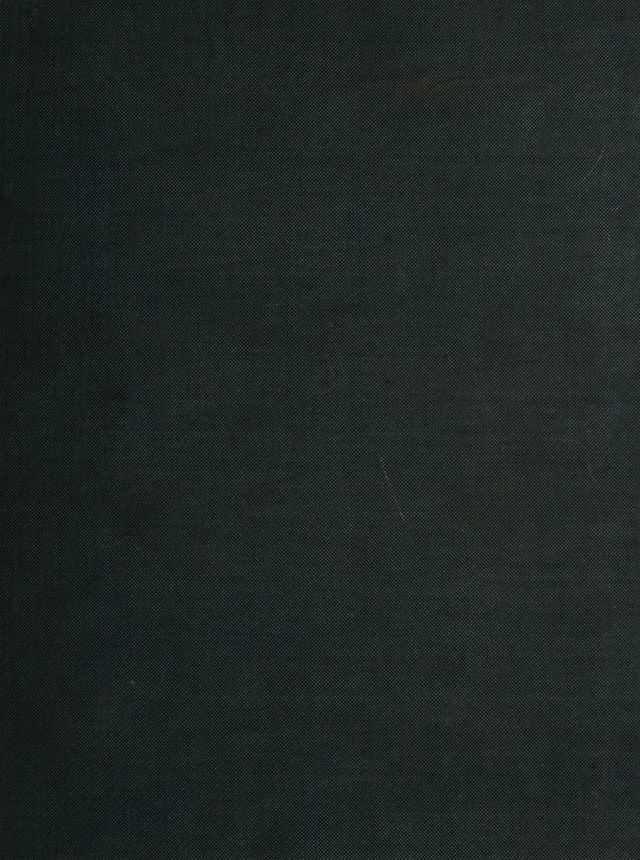 digitised image 1