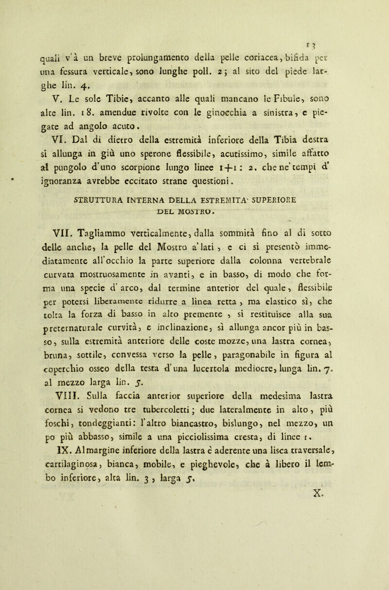 una fessura verticale, sono lunghe poli. 2j al sito del piede lar- ghe Un. 4. V. Le sole Tibie, accanto alle quali mancano le Fibule, sono alte lin. 1 8. amendue rivolte con le ginocchia a sinistra, e pie- gate ad angolo acuto. VI. Dal di dietro della estremità inferiore della Tibia destra si allunga in giù uno sperone flessibile, acutissimo, simile affatto al pungolo d’uno scorpione lungo linee 1 -f-i * 2. che ne tempi d* ignoranza avrebbe eccitato strane questioni. STRUTTURA INTERNA DELLA ESTREMITÀ' SUPERIORE DEL MOSTRO. VII. Tagliammo verticalmente, dalla sommità fino al dì sotto dello anche, la pelle del Mostro a’ lati , e ci si presentò imme- diatamente all’occhio la parte superiore dalla colonna vertebrale curvata mostruosamente in avanti, e in basso, di modo che for- ma una specie d’arco, dal termine anterior del quale, flessibile per potersi liberamente ridurre a linea retta , ma elastico sì, che tolta la forza di basso in alto premente , si restituisce alla sua preternaturale curvità, e inclinazione, sì allunga ancor più in bas- so, sulla estremità anteriore delle coste mozze, una lastra cornea, bruna, sottile, convessa verso la pelle, paragonabile in figura ai coperchio osseo della testa d’una lucertola mediocre, lunga lin. 7. al mezzo larga lin. 7. Vili. Sulla faccia anterior superiore della medesima lastra cornea si vedono tre tubercoletti ; due lateralmente in aito, più foschi, tondeggianti: l’altro biancastro, bislungo, nel mezzo, un po più abbasso, simile a una picciolissima cresta, di linee 1. IX. Al margine inferiore della lastra è aderente una lisca traversale, cartilaginosa, bianca, mobile, e pieghevole, che à libero il lem- bo inferiore, alta lin. 3 , larga j\ X.