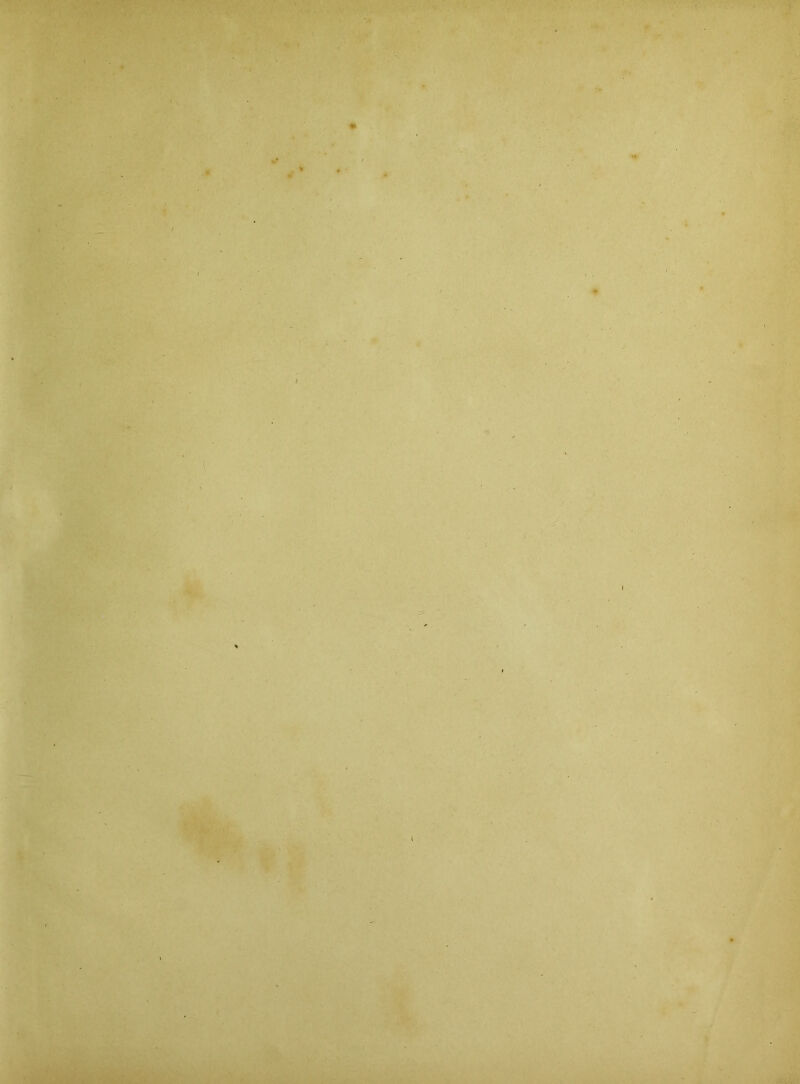 '