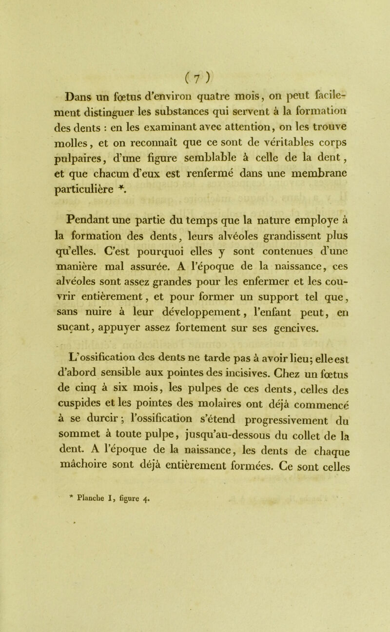 Dans un foetus d’environ quatre mois, on pent facile- ment distinguer les substances qui servent k la formation des dents : en les examinant avec attention, on les trouve molles, et on reconnait que ce sont de veritables corps pulpaires, d’une figure semblable k celle de la dent, et que chacun d’eux est renferme dans une membrane particuliere Pendant une partie du temps que la nature employe a la formation des dents, leurs alveoles grandissent plus qu’elles. Cest pourquoi elles y sont con tenues d’une maniere mal assur^e. A Tepoque de la naissance, ces alveoles sont assez grandes pour les enfermer et les cou- vrir entierement, et pour former un support tel que, sans nuire a leur developpement, I’enfant pent, en sucant, appuyer assez fortement sur ses gencives. L’ossification des dents ne tarde pas a avoir lieu; elleest d’abord sensible aux pointes des iiicisives. Chez un foetus de cinq a six mois, les pulpes de ces dents, celles des cuspides et les pointes des molaires ont deja commence a se durcir; Tossification s’etend progressivement du sommet a toute pulpe, jusqu’au-dessous du collet de la dent. A I’epoque de la naissance, les dents de chaque machoire sont deja entierement formees. Ce sont celles