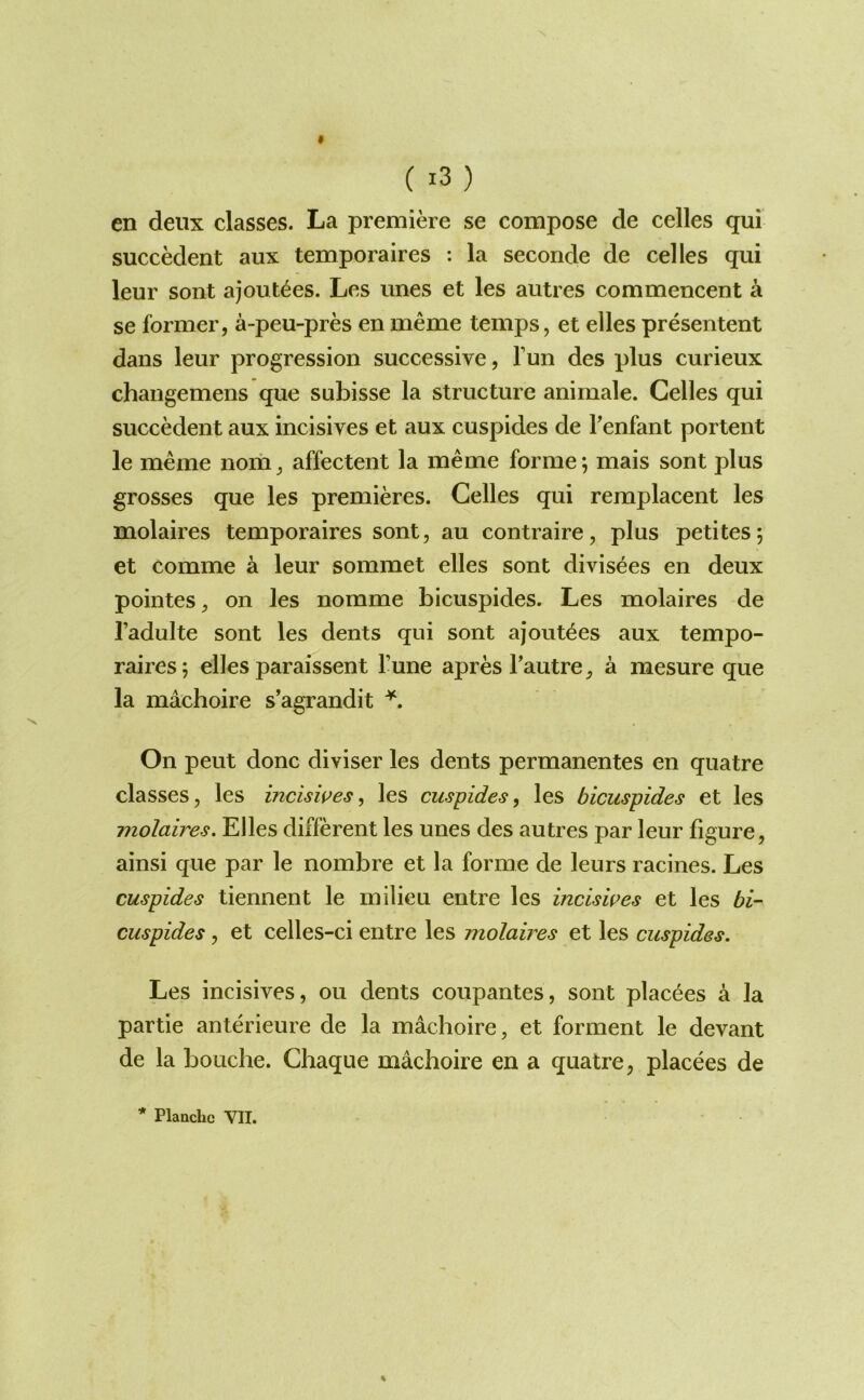 cn deux classes. La premiere se compose de celles qui succedent aux temporaires : la seconde de celles qui leur sont ajout^es. Les lines et les autres commencent a se former, a-peu-pres enmeme temps, et elles presentent dans leur progression successive, Tun des plus curieux changemens que subisse la structure animale. Celles qui succedent aux incisives et aux cuspides de Tenfant portent le meme noiii, affectent la meme forme; mais sont plus grosses que les premieres. Celles qui remplacent les molaires temporaires sont, au contraire, plus petites; et comme a leur sommet elles sont divisees en deux pointes, on les nomme bicuspides. Les molaires de I’adulte sont les dents qui sont ajout^es aux tempo- raires ; elles paraissent Tune apres Tautre, a mesure que la machoire s’agrandit On pent done diviser les dents permanentes en quatre classes, les inciswes, les cuspides, les bicuspides et les molaires. Elles different les unes des autres par leur figure, ainsi que par le nombre et la forme de leurs racines. Les cuspides tiennent le milieu entre les inciswes et les bi- cuspides , et celles-ci entre les molaires et les cuspides. Les incisives, ou dents coupantes, sont placees a la partie anterieure de la machoire, et forment le devant de la bouche. Chaque machoire en a quatre, placees de * Plaachc VII.