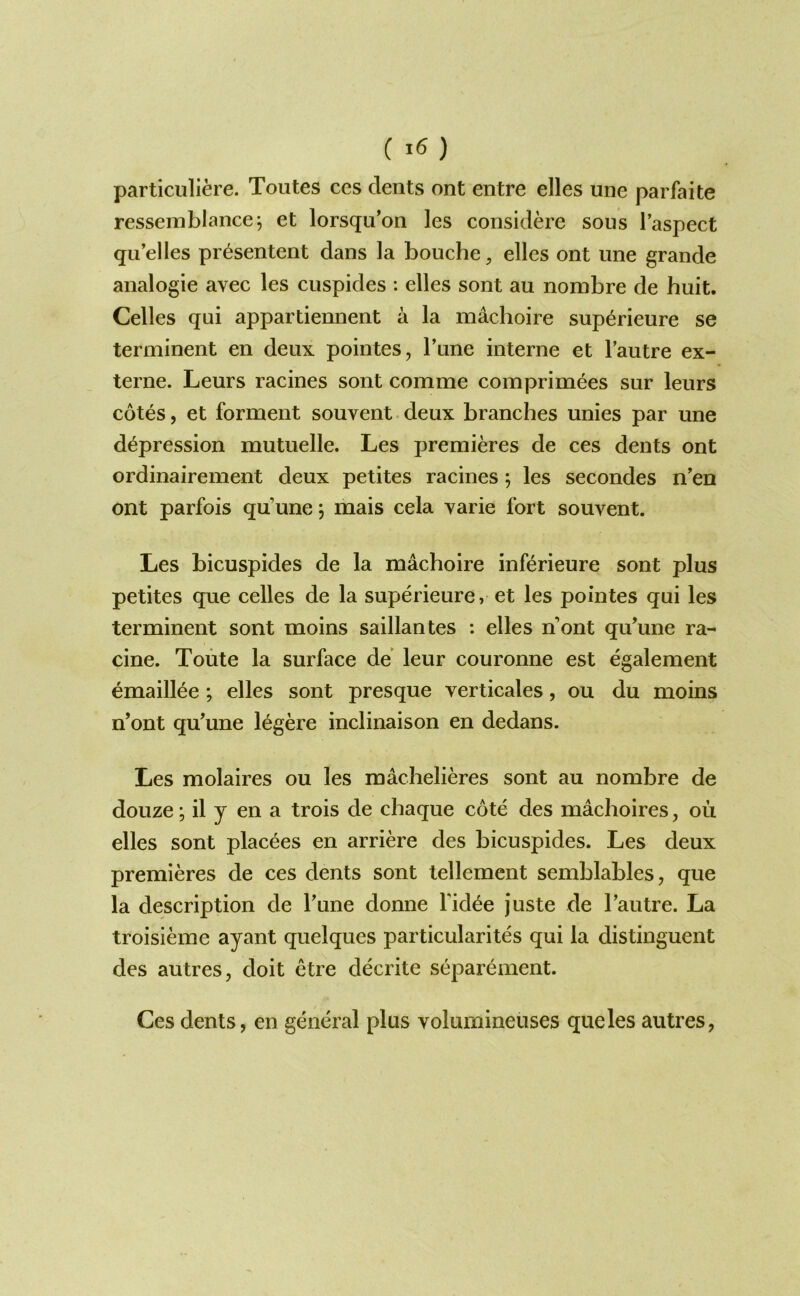 ( ) particiiliere. Toutes ces dents ont entre elles une parfaite ressemblance^ et lorsqu’on les considere sous Taspect qu’elles presen tent dans la bouche, elles ont une grande analogie avec les cuspides : elles sont au nombre de huit. Celles qui appartiennent a la machoire superieure se terminent en deux pointes, Tune interne et I’autre ex- terne. Leurs racines sont comme comprimees sur leurs cotes, et forment souvent. deux branches unies par une depression mutuelle. Les premieres de ces dents ont ordinairement deux petites racines; les secondes n’en ont parfois qu’une 5 mais cela yarie fort souvent. Les bicuspides de la machoire inferieure sont plus petites que celles de la superieure, et les pointes qui les terminent sont moins saillantes : elles nont qu’une ra- cine. Toute la surface de leur couronne est egalement emaill^e ; elles sont presque verticales, ou du moins n’ont qu’une l6gere inclinaison en dedans. Les molaires ou les machelieres sont au nombre de douze; il y en a trois de chaque cote des machoires, ou elles sont placees en arriere des bicuspides. Les deux premieres de ces dents sont tellement semblables, que la description de I’une donne fid^e juste de Tautre. La troisieme ayant quelques particularites qui la distinguent des autres, doit etre decrite separement. Ces dents, en general plus volumineuses que les autres,