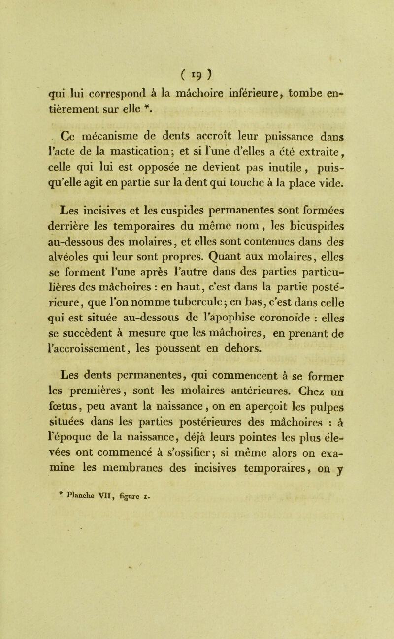 ( '9 ) qiii lui correspond a la machoire inferieure, tombe en- tierement sur elle . Ce m^canisme de dents accroit leur puissance dans Tacte de la mastication; et si Tune d’elles a ete extraite, celle qui lui est opposee ne devient pas inutile , puis- qu'elle agit en par tie sur la dent qui touche a la place vide. Les incisives et les cuspides permanentes sont form^es derriere les temporaires du meme nom, les bicuspides au-dessous des molaires, et elles sont contenues dans des alveoles qui leur sont propres. Quant aux molaires, elles se forment Tune apres I’autre dans des parties particu- lieres des machoires : en haut, c’est dans la partie poste- rieure, que Ton nomme tubercule; en has, c'est dans celle qui est situee au-dessous de Tapophise coronoi'de : elles se succedent a mesure que les machoires, en prenant de raccroissement, les poussent en dehors. Les dents permanentes, qui commencent a se former les premieres, sont les molaires anterieures. Chez un foetus, peu avant la naissance, on en apercoit les pulpes situees dans les parties posterieures des mdchoires ; a Fepoque de la naissance, d6ja leurs pointes les plus ele- v6es ont commence a s'ossifier; si meme alors on exa- mine les membranes des incisives temporaires, on y