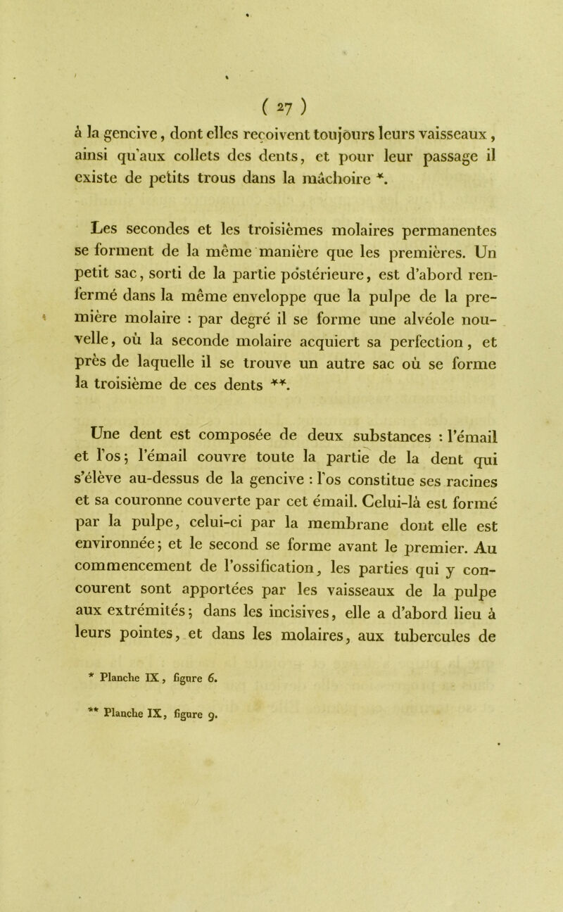 (2?) A la gencive, dont dies recoivent ton jours leurs vaisseaux, ainsi qu’aux collets dcs dents, et pour leur passage il existe de petits trous dans la machoire Les secondes et les troisiemes molaires permanentes se fonnent de la meme maniere que les premieres. Un petit sac, sorti de la partie pdsterieure, est d’abord ren- ferme dans la meme enveloppe que la pulpe de la pre- miere molaire : par degre il se forme une alveole nou- velle, oil la seconde molaire acquiert sa perfection, et pres de laquelle il se trouve un autre sac oil se forme la troisieme de ces dents Une dent est compos^e de deux substances : Temail et I’osj lemail couvre toute la partie de la dent qui s'eleve au-dessus de la gencive : Tos constitue ses racines et sa couronne couverte par cet email. Celui-la est forme par la pulpe, celui-ci par la membrane dont elle est environnee ^ et le second se forme avant le premier. Au commencement de 1 ossification, les parties qui y con- courent sont apporlees par les vaisseaux de la pulpe aux extremites; dans les incisives, elle a d’abord lieu a leurs pointes, et dans les molaires, aux tubercules de * Planche IX, figqre 6.