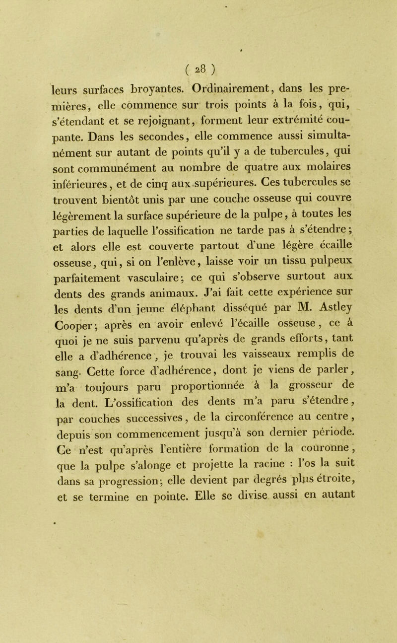 ( ^8 ) leurs surfaces broyantes. Ordinairement, dans les pre- mieres, elle commence sur trois points a la fois, qui, s’etendant et se rejoignant, forment leur extremite cou- pante. Dans les secondes, elle commence aussi simulta- n6ment sur autant de points qu’il y a de tubercules, qui sont communement au nombre de quatre aux molaires inf^rieures, et de cinq aux.superieures. Ces tubercules se trouvent bientot unis par une couche osseuse qui couvre l^gerement la surface superieure de la pulpe, a toutes les parties de laquelle Tossification ne tarde pas a s’etendre; et alors elle est couverte partout d’une legere ecaille osseuse5 qui, si on Fenleve, laisse voir un tissu pulpeux parfaitement vasculaire; ce qui s’observe surtout aux dents des grands animaux. J’ai fait cette experience sur les dents d’un jeune elephant disseque par M. Astley Cooper •, apres en avoir enleve I’ecaille osseuse, ce a quoi je ne suis parvenu qu’apres de grands efforts, tant elle a d’adherence, je trouvai les vaisseaux remplis de sang. Cette force d’adherence, dont je viens de parler, m’a toujours paru proportionnee a la grosseur de la dent. L^ossification des dents m’a pam s’^tendre, par couches successives, de la circonference au centre, depuis son commencement jusqu a son dernier periode. Ce n’est qu’apres I’entiere formation de la couronne, que la pulpe s’alonge et projette la racine : 1 os la suit dans sa progression; elle devient par degres plusetroite, et se termine en pointe. Elle se divise aussi en autant