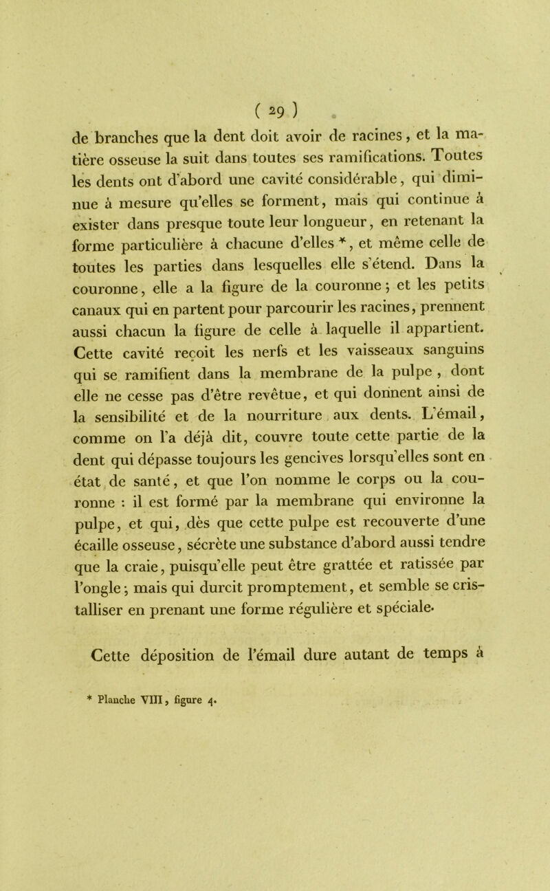 de branches que la dent doit avoir de racines, et la ma- tiere osseuse la suit dans toutes ses ramifications. Toutes les dents ont d’abord une cavite considerable, qui dimi- nue a mesure qu’elles se forment, mais qui continue a exister dans presque toute leur longueur, en retenant la forme particuliere a chacune d’elles ^, et meme celle de toutes les parties dans lesquelles elle s’etend. Dans la couronne, elle a la figure de la couronne j et les petits canaux qui en partent pour parcourir les racines, prennent aussi chacun la figure de celle a.laquelle il appartient. Cette cavit^ recoit les nerfs et les vaisseaux sanguins qui se ramifient dans la membrane de la pulpe , dont elle lie cesse pas d’etre revetue, et qui dorinent ainsi de la sensibilite et de la nourriture aux dents. L’email, com me on I’a deja dit, couvre toute cette partie de la dent qui depasse toujours les gencives lorsqu’elles sont en - etat de sante, et que Ton nomme le corps ou la cou- ronne : il est forme par la membrane qui environne la pulpe, et qui, .des que cette pulpe est recouverte d’une 6caille osseuse, secrete une substance d’abord aussi tendre que la craie, puisqu’elle peut etre grattee et ratissee par I’onglemais qui durcit promptement, et semble se cris- talliser en prenant une forme reguliere et speciale- Cette deposition de I’email dure autant de temps a