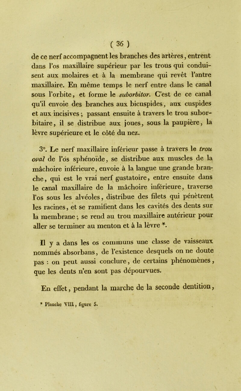 de ce nerf accompagnent les branches des arteres, entrent dans Tos maxillaire superieur par les trous qui condui- sent aux molaires et k la membrane qui revet Tantre maxillaire. En meme temps le nerf entre dans le canal sous I’orbite, et forme le suborbitor. C’est de ce canal qu’il envoie des branches aux bicuspides, aux cuspides et aux incisives; passant ensuite a travers le trou subor- bitaire, il se distribue aux joues, sous la paupiere, la levre superieure et le c6t6 du nez. 3®. Le nerf maxillaire inf^rieur passe ^ travers le trou oval de Tds sphenoide, se distribue aux muscles de la machoire inferieure, envoie a la langue une grande bran- che, qui est le vrai nerf gustatoire, entre ensuite dans le canal maxillaire de la machoire infdrieure, traverse I’os sous les alveoles, distribue des filets qui penetrent les racines, et se ramifient dans les cavitds des dents sur la membrane; se rend au trou maxillaire anterieur pour aller se terminer au menton et ^ la levre II y a dans les os communs une classe de vaisseaux nommes absorbans, de I’existence desquels on ne doute pas : on pent aussi conclure, de certains phenomenes, que les dents n'en sont pas depourvues. En effet, pendant la marche de la seconde dentition,