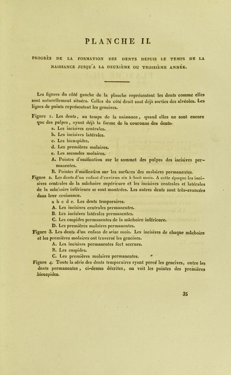 raOGRES DE LA FORMATION DES DENTS DEPUIS LE TEMPS DE LA NAISSANCE JUSQu’a LA DEUXIEME OU TROISIEME ANNEE, Lcs figures du cote gauche de la planche representent les dents comme elles sont nalurellemeat situees. Cellcs du cote droit sout deja sorties des alveoles. Les lignes de points representent lcs gencives. Figure I. Les dents, au temps de la naissance, quand elles ne soat encore que des pulpes, ayant deja la forme de la couronne des dents. a. Les incisives centrales. b. Les incisives laterales. c. Les bicuspides. d. Les premieres molalres. e. Les secondes molaires. ' A. Poiutes d'ossification sar le soinmet des pnlpes des incisives per- manentes. B. Pointes d’ossification sur les surfaces 'des molaires permanentes. Figure 2. Les dents d’lm enfant d’environ six a liult mois. A celte e’poque les inci— sives centrales de la machoire superieure et les incisives centrales et laterales de la raac’.ioire inferieure se sont montrees. Les autres dents sout tres-ayancees dans leur crolssance. a b c d e. Les dents temporaires. A. Les incisives centrales permanentes. B. Les incisives laterales permanentes. C. Lcs cuspides permanentes de la machoire inferieure. D. Les premieres molaires permanentes. Figure 3. Les^ dents d’un enfans de seize mois. Les incisives de chaque machoire et les premieres molaires ont traverse' les gencives. A. Les incisives permanentes fort accrues. B. Les cuspides. C. Les premieres molaires permanentes. ' Figure 4. Toute la s^rie des dents temporaires ayant perce les gencives, outre les dents permanentes, ci-dessus de'erites, on voit les pointes des premieres liicuspides. 35