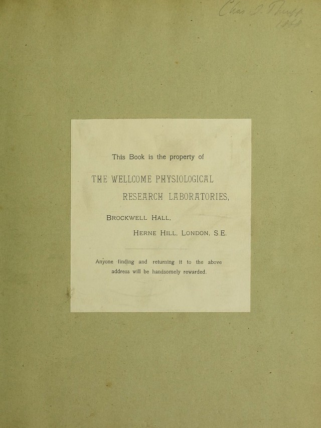 digitised image 3
