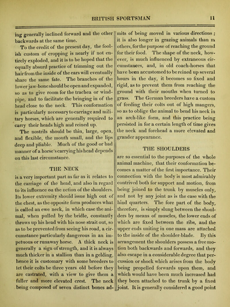 ing generally inclined forward and the other backwards at the same time. To the credit of the present day, the fool- ish custom of cropping is nearly if not en- tirely exploded, and it is to be hoped that the equally absurd practice of trimming out the hair from the inside of the ears will eventually share the same fate. The branches of the lower jaw-bone should be open and expanded, so as to give room for the trachea or wind- pipe, and to facilitate the bringing in of the head close to the neck. This conformation is particularly necessary to carriage and mili- tary horses, which are generally required to carry their heads high and reined up. The nostrils should be thin, large, open, and flexible, the mouth small, and the lips deep and pliable. Much of the good or bad manner of a horse’s carrying his head depends on this last circumstance. THE NECK is a very important part as far as it relates to the carriage of the head, and also in regard to its influence on the action of the shoulders. Its lower extremity should issue high out of the chest, as the opposite form produces what is called an ewe neck, in which case the ani- mal, when pulled by the bridle, constantly throws up his head with his nose strait out, so as to be prevented from seeing his road, a cir- cumstance particularly dangerous in an im- petuous or runaway horse. A thick neck is generally a sign of strength, and it is always much thicker in a stallion than in a gelding, hence it is customary with some breeders to let their colts be three years old before they are castrated, with a view to give them a fuller and more elevated crest. The neck being composed of seven distinct bones ad- mits of being moved in various directions ; it is also longer in grazing animals than m others, for the purpose of reaching the ground for their food. The shape of the neck, how- ever, is much influenced by extraneous cir- cumstances, and, in old coach-horses that have been accustomed to be reined up several hours in the day, it becomes so fixed and rigid, as to prevent them from reaching the ground with their mouths when turned to grass. The German breeders have a custom of feeding their colts out of high mangers, so as to oblige the animal to bend his neck in an arch-like form, and this practice being persisted in for a certain length of time gives the neck and forehead a more elevated and grander appearance. THE SHOULDERS are so essential to the purposes of the whole animal machine, that their conformation be- comes a matter of the first importance. Their connection with the body is most admirably contrived both for support and motion, from being joined to the trunk by muscles only, and not by any joint as is the case with the hind quarters. The fore part of the body, therefore, is simply slung between the shoul- ders by means of muscles, the lower ends of which are fixed between the ribs, and the upper ends uniting in one mass are attached to the inside of the shoulder-blade. By this arrangement the shoulders possess a free mo- tion both backwards and forwards, and they also escape in a considerable degree that per- cussion or shock which arises from the body being propelled forwards upon them, and which would have been much increased had they been attached to the trunk by a fixed joint. It is generally considered a good point