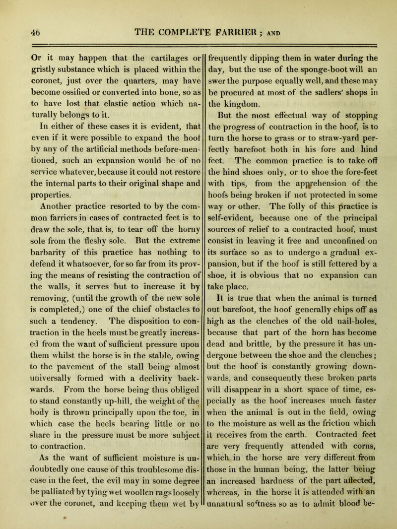 Or it may happen that the cartilages or gristly substance which is placed within the coronet, just over the quarters, may have become ossified or converted into bone, so as to have lost that elastic action which na- turally belongs to it. In either of these cases it is evident, that even if it were possible to expand the hoot by any of the artificial methods before-men- tioned, such an expansion would be of no service whatever, because it could not restore the internal parts to their original shape and properties. Another practice resorted to by the com- mon farriers in cases of contracted feet is to draw the sole, that is, to tear off the horny sole from the fleshy sole. But the extreme barbarity of this practice has nothing to defend it whatsoever, for so far from its prov- ing the means of resisting the contraction of the walls, it serves but to increase it by removing, (until the growth of the new sole is completed,) one of the chief obstacles to such a tendency. The disposition to con- traction in the heels must be greatly increas- ed from the want of sufficient pressure upon them whilst the horse is in the stable, owing to the pavement of the stall being almost universally formed with a declivity back- wards. From the horse being thus obliged to stand constantly up-hill, the weight of the body is thrown principally upon the toe, in which case the heels bearing little or no share in the pressure must be more subject to contraction. As the want of sufficient moisture is un- doubtedly one cause of this troublesome dis- ease in the feet, the evil may in some degree be palliated by tying wet wool len rags loosely over the coronet, and keeping them wet by I frequently dipping them in water during the day, but the use of the sponge-boot will an swer the purpose equally well, and these may be procured at most of the sadlers’ shops in the kingdom. But the most effectual way of stopping the progress of contraction in the hoof, is to turn the horse to grass or to straw-yard per- fectly barefoot both in his fore and hind feet. The common practice is to take off the hind shoes only, or to shoe the fore-feet with tips, from the apprehension of the hoofs being broken if not protected in some way or other. The folly of this practice is self-evident, because one of the principal sources of relief to a contracted hoof, must consist in leaving it free and unconfined on its surface so as to undergo a gradual ex- pansion, but if the hoof is still fettered by a shoe, it is obvious that no expansion can take place. It is true that when the animal is turned out barefoot, the hoof generally chips off as high as the clenches of the old nail-holes, because that part of the horn has become dead and brittle, by the pressure it has un- dergone between the shoe and the clenches; but the hoof is constantly growing down- wards, and consequently these broken parts will disappear in a short space of time, es- pecially as the hoof increases much faster when the animal is out in the field, owing to the moisture as well as the friction which it receives from the earth. Contracted feet are very frequently attended with corns, which in the horse are very different from those in the human being, the latter being an increased hardness of the part affected, whereas, in the horse it is attended with an unnatural soffness so as to admit blood be-