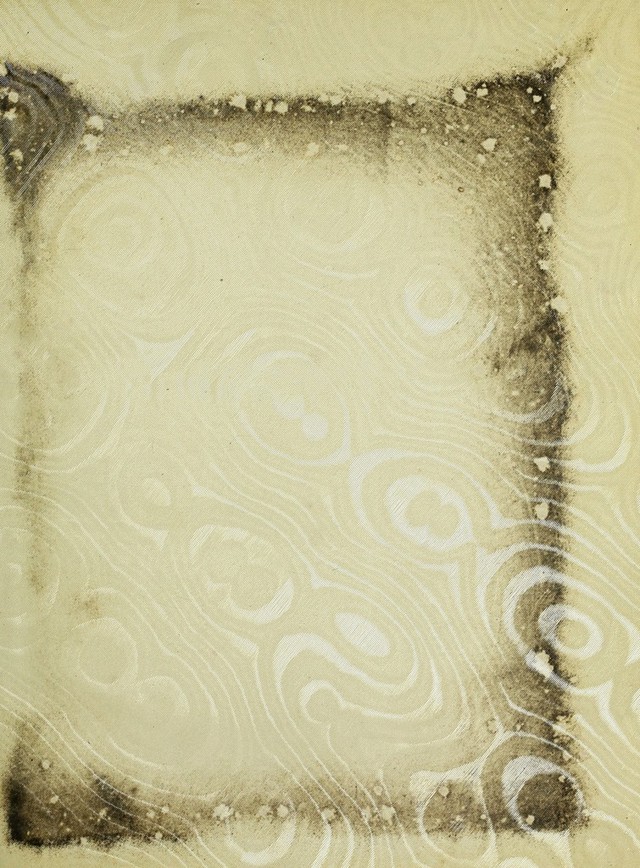 digitised image 3