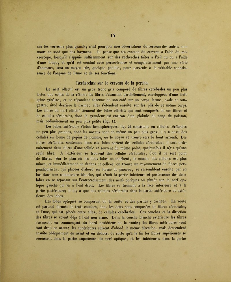 sur les cerveaux plus grands; c’est pourquoi mes observations du cerveau des autres ani- maux ne sont que des fragmens. Je pense que cet examen du cerveau à l’aide du mi- croscope, lorsqu’il s’appuie suffisamment sur des recherches faites à l’œil nu ou à l’aide d’une loupe, et qu’il est conduit avec persévérance et comparativement par une série d’animaux, sera un moyen sûr, quoique pénible, pour parvenir à la véritable connais- sance de l’organe de l’âme et de ses fonctions. Recherches sur le cerveau de la perche. Le nerf olfactif est un gros tronc gris composé de fibres cérébrales un peu plus fortes que celles de la rétine; les fibres s’avancent parallèlement, enveloppées d’une forte gaine grisâtre, et se répandent chacune de son côté sur un corps ferme, ovale et rou- geâtre, situé derrière la narine; elles s’étendent ensuite sur les plis de ce même corps. Les fibres du nerf olfactif viennent des lobes olfactifs qui sont composés de ces fibres et de cellules cérébrales, dont la grandeur est environ d’un globule du sang de poisson, mais ordinairement un peu plus petite (fig. 1). Les lobes antérieurs (lobes hémisphériques, fig. 2) consistent en cellules cérébrales un peu plus grandes, dont les noyaux sont de même un peu plus gros; il y a aussi des cellules en forme de pépins de pomme, où le noyau se trouve vers le bout arrondi. Les fibres cérébrales contenues dans ces lobes sortent des cellules cérébrales; il sort ordi- nairement deux fibres d’une cellule et souvent du même point, quelquefois il n’y a qu’une seule fibre. A l'extérieur se trouvent des cellules cérébrales, d’où il ne sort point de fibres. Sur le plan où les deux lobes se touchent, la couche des cellules est plus mince, et immédiatement en dedans de celle-ci on trouve un rayonnement de fibres per- pendiculaires, qui placées d’abord en forme de pinceau, se rassemblent ensuite par en bas dans une commissure blanche, qui réunit la partie inférieure et postérieure des deux lobes en se reposant sur l’entrecroisement des nerfs optiques ou plutôt sur le nerf op- tique gauche qui va à l’œil droit. Les fibres se tiennent à la lace intérieure et à la partie postérieure; il n’y a que des cellules cérébrales dans la partie antérieure et exté- rieure des lobes. Les lobes optiques se composent de la voûte et des parties y cachées. La voûte est partout formée de trois couches, dont les deux sont composées de fibres cérébrales, et l’une, qui est placée entre elles, de cellules cérébrales. Ces couches et la direction des fibres se voient déjà à l’œil non armé. Dans la couche blanche extérieure les fibres s’avancent en commençant du bord postérieur de la voûte ; les fibres intérieures vont tout droit en avant; les supérieures suivent d’abord la même direction, mais descendent ensuite obliquement en avant et en dehors, de sorte qu’à la fin les fibres supérieures se réunissent dans la partie supérieure du nerf optique, et les inférieures dans la partie