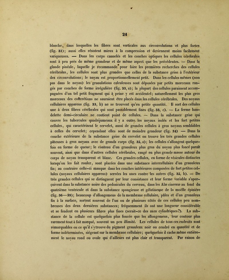 r 24 blanche, dans lesquelles les fibres sont verticales aux circonvolutions et plus fortes (fig. 31); aussi elles résistent mieux à la compression et deviennent moins facilement variqueuses. — Dans les corps cannelés et les couches optiques les cellules cérébrales sont à peu près de même grandeur et de même aspect que les précédentes. — Dans la glande pinéale, laquelle je recommande pour faire les premières recherches des cellules cérébrales, les cellules sont plus grandes que celles de la substance grise à l’extérieur des circonvolutions ; le noyau est proportionnellement petit. Dans les cellules mêmes (non pas dans le noyau) les granulations calculeuses sont déposées par petits morceaux ran- gés par couches de forme irrégulière (fig. 33, a); la plupart des cellules paraissent accom- pagnées d’un tel petit fragment qui à peine y est accidentel; naturellement les plus gros morceaux des coficrétions ne sauraient être placés dans les cellules cérébrales. Des noyaux cellulaires appareils (fig. 33, b) ne se trouvent qu’en petite quantité. Il sort des cellules une à deux fibres cérébrales qui sont passablement fines (fig. 33, c). — La ferme ban- delette demi-circulaire ne contient point de cellules. — Dans la substance grise qui couvre les tubercules quadrijumeaux il y a outre, les noyaux isolés et les fort petites cellules, qui caractérisent le cervelet, aussi de grandes cellules à gros noyaux semblables à celles du cervelet; cependant elles sont de moindre grandeur (fig. 34) — Dans la couche extérieure de la substance grise du cervelet on trouve les très grandes cellules pâteuses à gros noyaux avec de grands corps (fig. 35, a); les cellules s’allongent quelque- fois en forme de queue; le contenu d’un granuleux plus gros du noyau plus foncé paraît souvent, ainsi que dans d’autres cellules cérébrales, rangé en plus grande masse autour du corps de noyau transparent et blanc. Ces grandes cellules, en forme de vésicules distinctes lorsqu’on les fait rouler, sont placées dans une substance intercellulaire d’un granuleux fin; au contraire celle-ci manque dans les couches intérieures composées de fort petites cel- lules (noyaux cellulaires apparens) serrées les unes contre les autres (fig. 35, b). — De très grandes cellules qui se distinguent par leur consistance et leur forme variable s’aper- çoivent dans la substance noire des pédoncules du cerveau, dans les Alæ cinereæ au fond du quatrième ventricule et dans la substance spongieuse et gélatineuse de la moelle épinière (fig. 36—39); beaucoup d’allongemens de la membrane cellulaire, pâles et d’un granuleux fin à la surface, sortent souvent de l’un ou de plusieurs côtés de ces cellules peu nom- breuses des deux dernières substances; fréquemment ils ont une longueur considérable et se fendent en plusieurs fibres plus fines (serait-ce des axes cylindriques?). La sub- stance de la cellule est quelquefois plus foncée que les allongemens, leur contour plus rarement tout à fait marqué, souvent un peu illimité. Les cellules de tous ces endroits sont remarquables en ce qu’il s'y trouve du pigment granuleux noir ou cendré en quantité et de forme indéterminées, siégeant sur la membrane cellulaire; quelquefois il cache même entière- ment le noyau rond ou ovale qui d’ailleurs est plus clair et transparent. Par raison de