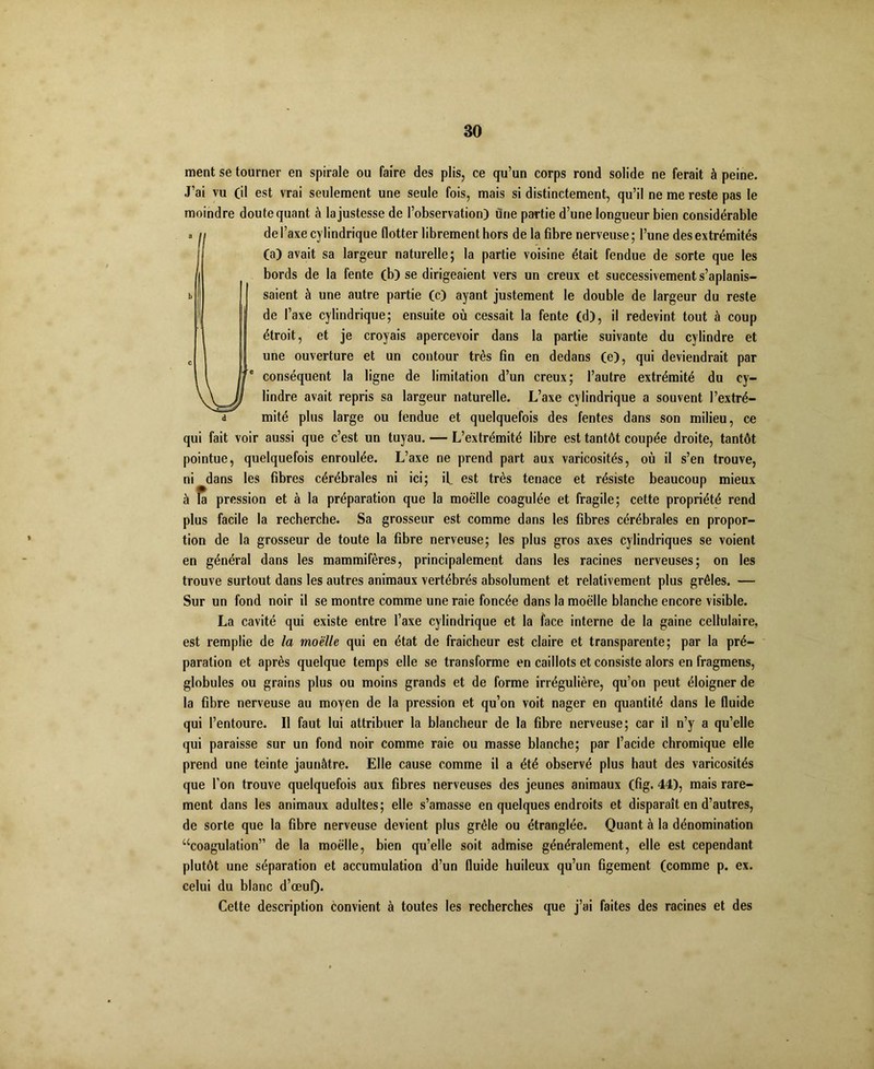 ment se tourner en spirale ou faire des plis, ce qu’un corps rond solide ne ferait à peine. J’ai vu (il est vrai seulement une seule fois, mais si distinctement, qu’il ne me reste pas le moindre doute quant à la justesse de l’observation) une partie d’une longueur bien considérable a il de l’axe cylindrique flotter librement hors de la fibre nerveuse; l’une des extrémités (a) avait sa largeur naturelle; la partie voisine était fendue de sorte que les | bords de la fente (b) se dirigeaient vers un creux et successivement s’aplanis- b saient à une autre partie (c) ayant justement le double de largeur du reste | de l’axe cylindrique; ensuite où cessait la fente (d), il redevint tout à coup étroit, et je croyais apercevoir dans la partie suivante du cylindre et c 1 I une ouverture et un contour très fin en dedans (e), qui deviendrait par 1 1 Je conséquent la ligne de limitation d’un creux; l’autre extrémité du cy- lindre avait repris sa largeur naturelle. L’axe cylindrique a souvent l’extré- d mité plus large ou fendue et quelquefois des fentes dans son milieu, ce qui fait voir aussi que c’est un tuyau. — L’extrémité libre est tantôt coupée droite, tantôt pointue, quelquefois enroulée. L’axe ne prend part aux varicosités, où il s’en trouve, ni dans les fibres cérébrales ni ici; if est très tenace et résiste beaucoup mieux à la pression et à la préparation que la moelle coagulée et fragile; cette propriété rend plus facile la recherche. Sa grosseur est comme dans les fibres cérébrales en propor- tion de la grosseur de toute la fibre nerveuse; les plus gros axes cylindriques se voient en général dans les mammifères, principalement dans les racines nerveuses; on les trouve surtout dans les autres animaux vertébrés absolument et relativement plus grêles. — Sur un fond noir il se montre comme une raie foncée dans la moelle blanche encore visible. La cavité qui existe entre l’axe cylindrique et la face interne de la gaine cellulaire, est remplie de la moelle qui en état de fraicheur est claire et transparente; par la pré- paration et après quelque temps elle se transforme en caillots et consiste alors en fragmens, globules ou grains plus ou moins grands et de forme irrégulière, qu’on peut éloigner de la fibre nerveuse au moyen de la pression et qu’on voit nager en quantité dans le fluide qui l’entoure. Il faut lui attribuer la blancheur de la fibre nerveuse; car il n’y a qu’elle qui paraisse sur un fond noir comme raie ou masse blanche; par l’acide chromique elle prend une teinte jaunâtre. Elle cause comme il a été observé plus haut des varicosités que l’on trouve quelquefois aux fibres nerveuses des jeunes animaux (fig. 44), mais rare- ment dans les animaux adultes; elle s’amasse en quelques endroits et disparaît en d’autres, de sorte que la fibre nerveuse devient plus grêle ou étranglée. Quant à la dénomination “coagulation” de la moelle, bien qu’elle soit admise généralement, elle est cependant plutôt une séparation et accumulation d’un fluide huileux qu’un figement (comme p. ex. celui du blanc d’œuf). Cette description convient à toutes les recherches que j’ai faites des racines et des