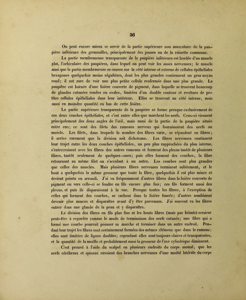 On peut encore mieux se servir de la partie supérieure non musculaire de la pau- pière inférieure des grenouilles, principalement des jeunes ou de la rainette commune. La partie membraneuse transparente de la paupière inférieure est bordée d’un muscle plat, l’orbieulaire des paupières, dans lequel on peut voir les anses nerveuses; le muscle ainsi que la partie membraneuse se couvre sur le côté interne et externe de cellules épithéliales hexagones quelquefois moins régulières, dont les plus grandes contiennent un gros noyau rond; il est rare de voir une plus petite cellule renfermée dans une plus grande. La paupière est bornée d’une lisière couverte de pigment, dans laquelle se trouvent beaucoup de glandes cutanées rondes ou ovales, limitées d’un double contour et revêtues de pe- tites cellules épithéliales dans leur intérieur. Elles se trouvent au côté interne, mais aussi en moindre quantité en bas de cette lisière. La partie supérieure transparente de la paupière se forme presque exclusivement de ces deux couches épithéliales, et c’est entre elles que marchent les nerfs. Ceux-ci viennent principalement des deux angles de l’œil, mais aussi de la partie de la paupière située entre eux; ce sont des filets des rameaux nerveux qui fournissaient des nerfs au muscle. Les filets, dans lesquels le nombre des fibres varie, se répandent en fibres; il arrive rarement que la division soit dichotome. Les fibres nerveuses continuent leur trajet entre les deux couches épithéliales, un peu plus rapprochées du plan interne, s’entrecroisent avec les fibres des autres rameaux et forment des plexus tantôt de plusieurs fibres, tantôt seulement de quelques-unes; puis elles forment des courbes, la fibre retournant au même filet ou s’accolant à un autre. Les courbes sont plus grandes que celles des muscles. Mais plusieurs fibres nerveuses terminent subitement, et le bout a quelquefois la même grosseur que toute la fibre, quelquefois il est plus mince et devient pointu ou arrondi. J’ai vu fréquemment d’autres fibres dans la lisière couverte de pigment ou vers celle-ci se fendre en fils encore plus fins; ces fils forment aussi des plexus, et puis ils disparaissent à la vue. Presque toutes les fibres, à l’exception de celles qui forment des courbes, se cachent dans la lisière foncée; d’autres semblaient devenir plus minces et disparaître avant d’y être parvenues. J’ai souvent vu les fibres entrer dans une glande de la peau et y disparaître. La division des fibres en fils plus fins et les bouts libres (mais pas béants) seraient peut-être à regarder comme le mode de terminaison des nerfs cutanés; une fibre qui a formé une courbe pourrait pousser sa marche et terminer dans un autre endroit. Pen- dant leur trajet les fibres sont certainement formées des mêmes élémens que dans le rameau ; elles sont limitées de lignes doubles; cependant elles sont toujours claires et transparentes, et la quantité de la moelle et probablement aussi la grosseur de l’axe cylindrique diminuent. C’est prouvé à l’aide du scalpel en plusieurs endroits du corps animal, que les nerfs cérébraux et spinaux envoient des branches nerveuses d’une moitié latérale du corps
