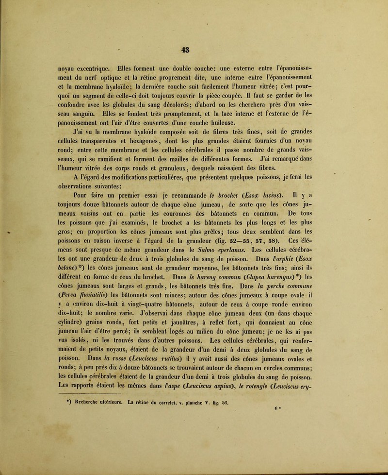 48 noyau excentrique. Elles forment une double couche: une externe entre l’épanouisse- ment du nerf optique et la rétine proprement dite, une interne entre l’épanouissement et la membrane hyaloïde; la dernière couche suit facilement l’humeur vitrée; c’est pour- quoi un segment de celle-ci doit toujours couvrir la pièce coupée. Il faut se garder de les confondre avec les globules du sang décolorés; d’abord on les cherchera près d’un vais- seau sanguin. Elles se fondent très promptement, et la lace interne et l’externe de l’é- panouissement ont l’air d’être couvertes d’une couche huileuse. J’ai vu la membrane hyaloide composée soit de fibres très fines, soit de grandes cellules transparentes et hexagones, dont les plus grandes étaient fournies d’un noyau rond; entre cette membrane et les cellules cérébrales il passe nombre de grands vais- seaux, qui se ramifient et forment des mailles de différentes formes. J’ai remarqué dans l’humeur vitrée des corps ronds et granuleux, desquels naissaient des fibres. A l’égard des modifications particulières, que présentent quelques poissons, je ferai les observations suivantes: Pour faire un premier essai je recommande le brochet {Esox lucius). Il y a toujours douze bâtonnets autour de chaque cône jumeau, de sorte que les cônes ju- meaux voisins ont en partie les couronnes des bâtonnets en commun. De tous les poissons que j’ai examinés, le brochet a les bâtonnets les plus longs et les plus gros; en proportion les cônes jumeaux sont plus grêles; tous deux semblent dans les poissons en raison inverse à l’égard de la grandeur (fig. 52—55, 51, 58). Ces élé- mens sont presque de même grandeur dans le Salmo eperlanus. Les cellules cérébra- les ont une grandeur de deux à trois globules du sang de poisson. Dans Vorphie (Esox belone') **) les cônes jumeaux sont de grandeur moyenne, les bâtonnets très fins; ainsi ils diffèrent en forme de ceux du brochet. Dans le hareng commun {Clupea harengus) *) les cônes jumeaux sont larges et grands, les bâtonnets très fins. Dans la perche commune {Perça flumalilis) les bâtonnets sont minces; autour des cônes jumeaux à coupe ovale il y a environ dix-huit à vingt-quatre bâtonnets, autour de ceux à coupe ronde environ dix-huit; le nombre varie. J’observai dans chaque cône jumeau deux (un dans chaque cylindre) grains ronds, fort petits et jaunâtres, à reflet fort, qui donnaient au cône jumeau l’air d’être percé; ils semblent logés au milieu du cône jumeau; je ne les ai pas vus isolés, ni les trouvés dans d’autres poissons. Les cellules cérébrales, qui renfer- maient de petits noyaux, étaient de la grandeur d’un demi à deux globules du sang de poisson. Dans la rosse (Leuciscus rutilus) il y avait aussi des cônes jumeaux ovales et ronds; à peu près dix à douze bâtonnets se trouvaient autour de chacun en cercles communs; les cellules cérébrales étaient de la grandeur d’un demi à trois globules du sang de poisson. Les rapports étaient les mêmes dans l'aspe (Leuciscus aspius), le rotengle (Leuciscus ery- *) Recherche ultérieure. La rétine du carrelet, v. planche V. fig. 56. fi •