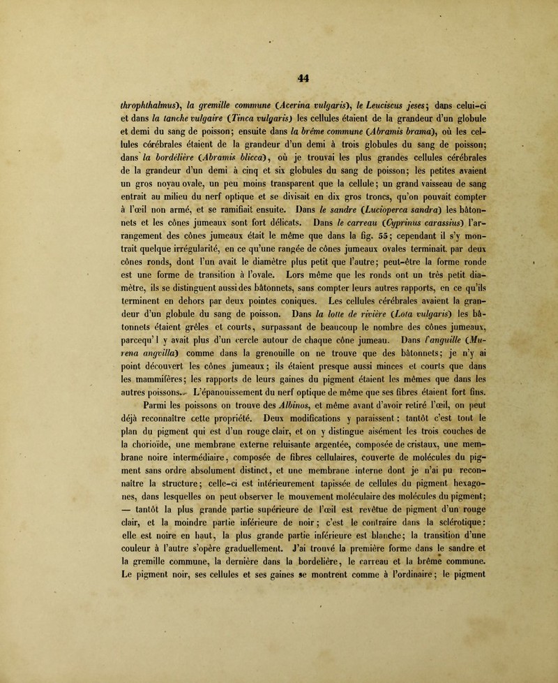 throphthalmus), la gremille commune CAcerina vulgarisé, le Leuciscus jeses ; dans celui-ci et dans la tanche vulgaire {Tinca vulgaris) les cellules étaient de la grandeur d’un globule et demi du sang de poisson; ensuite dans la brème commune CAbramis bramai), où les cel- lules cérébrales étaient de la grandeur d’un demi à trois globules du sang de poisson; dans la bordélière CAbramù è/icca), où je trouvai les plus grandes cellules cérébrales de la grandeur d’un demi à cinq et six globules du sang de poisson; les petites avaient un gros noyau ovale, un peu moins transparent que la cellule ; un grand vaisseau de sang entrait au milieu du nerf optique et se divisait en dix gros troncs, qu’on pouvait compter à l’œil non armé, et se ramifiait ensuite. Dans le sandre iLucioperca sandra) les bâton- nets et les cônes jumeaux sont fort délicats. Dans le carreau (.Cypritius carassius') l’ar- rangement des cônes jumeaux était le même que dans la fig. 55; cependant il s’y mon- trait quelque irrégularité, en ce qu’une rangée de cônes jumeaux ovales terminait, par deux cônes ronds, dont l’un avait le diamètre plus petit que l’autre; peut-être la forme ronde est une forme de transition à l’ovale. Lors même que les ronds ont un très petit dia- mètre, ils se distinguent aussi des bâtonnets, sans compter leurs autres rapports, en ce qu’ils terminent en dehors par deux pointes coniques. Les cellules cérébrales avaient la gran- deur d’un globule du sang de poisson. Dans la lotte de rivière (Lola vulgaris) les bâ- tonnets étaient grêles et courts, surpassant de beaucoup le nombre des cônes jumeaux, parcequ’ 1 y avait plus d’un cercle autour de chaque cône jumeau. Dans l'anguille (Mu- rena angvilla) comme dans la grenouille on ne trouve que des bâtonnets; je n’y ai point découvert les cônes jumeaux; ils étaient presque aussi minces et courts que dans les mammifères; les rapports de leurs gaines du pigment étaient les mêmes que dans les autres poissons.^ L’épanouissement du nerf optique de même que ses fibres étaient fort fins. Parmi les poissons on trouve des Albinos, et même avant d’avoir retiré l’œil, on peut déjà reconnaître cette propriété. Deux modifications y paraissent : tantôt c’est tout le plan du pigment qui est d’un rouge clair, et on y distingue aisément les trois couches de la chorioïde, une membrane externe reluisante argentée, composée de cristaux, une mem- brane noire intermédiaire, composée de fibres cellulaires, couverte de molécules du pig- ment sans ordre absolument distinct, et une membrane interne dont je n’ai pu recon- naître la structure; celle-ci est intérieurement tapissée de cellules du pigment hexago- nes, dans lesquelles on peut observer le mouvement moléculaire des molécules du pigment; — tantôt la plus grande partie supérieure de l’œil est revêtue de pigment d’un rouge clair, et la moindre partie inférieure de noir; c’est le contraire dans la sclérotique: elle est noire en haut, la plus grande partie inférieure est blanche; la transition d’une couleur à l’autre s’opère graduellement. J’ai trouvé la première forme dans le sandre et la gremille commune, la dernière dans la bordelière, le carreau et la brème commune. Le pigment noir, ses cellules et ses gaines se montrent comme à l’ordinaire ; le pigment