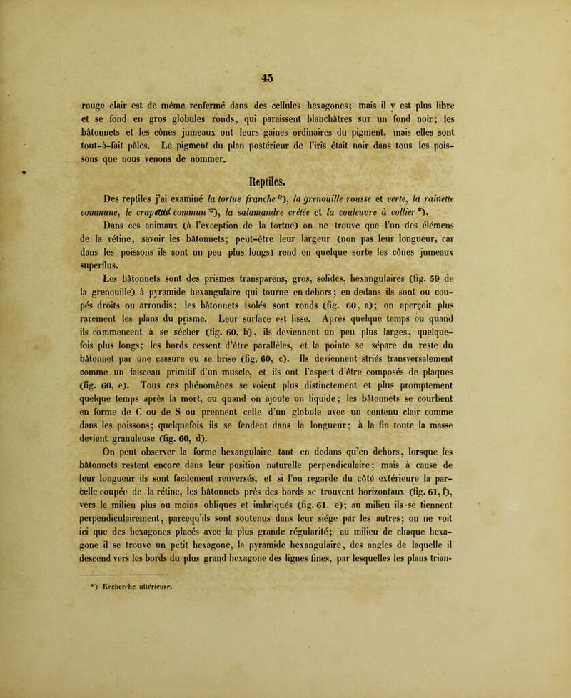 rouge clair est de même renfermé dans des cellules hexagones; mais il y est plus libre et se fond en gros globules ronds, qui paraissent blanchâtres sur un fond noir; les bâtonnets et les cônes jumeaux ont leurs gaines ordinaires du pigment, mais elles sont tout-à-fait pâles. Le pigment du plan postérieur de l’iris était noir dans tous les pois- sons que nous venons de nommer. Reptiles. Des reptiles j’ai examiné la tortue franche *), la grenouille rousse et verte, la rainette commune, le crapittid commun *), la salamandre crêtée et la couleuvre à collier *). Dans ces animaux (à l’exception de la tortue) on ne trouve que l’un des élémens de la rétine, savoir les bâtonnets; peut-être leur largeur (non pas leur longueur, car dans les poissons ils sont un peu plus longs) rend en quelque sorte les cônes jumeaux superflus. Les bâtonnets sont des prismes transparens, gros, solides, hexangulaires (fig. 59 de la grenouille) à pyramide hexangulaire qui tourne en dehors ; en dedans ils sont ou cou- pés droits ou arrondis; les bâtonnets isolés sont ronds (fig. 60, a); on aperçoit plus rarement les plans du prisme. Leur surface est lisse. Après quelque temps ou quand ils commencent à se sécher (fig. 60, b), ils deviennent un peu plus larges, quelque- fois plus longs; les bords cessent d’être parallèles, et la pointe se sépare du reste du bâtonnet par une cassure ou se brise (fig. 60, c). Ils deviennent striés transversalement comme un faisceau primitif d’un muscle, et ils ont l’aspect d’être composés de plaques (ng. 60, e). Tous ces phénomènes se voient plus distinctement et plus promptement quelque temps après la mort, ou quand on ajoute un liquide; les bâtonnets se courbent en forme de C ou de S ou prennent celle d’un globule avec un contenu clair comme dans les poissons; quelquefois ils se fendent dans la longueur; à la fin toute la masse devient granuleuse (fig. 60, d). On peut observer la forme hexangulaire tant en dedans qu’en dehors, lorsque les bâtonnets restent encore dans leur position naturelle perpendiculaire; mais à cause de leur longueur ils sont facilement renversés, et si l’on regarde du côté extérieure la par- celle coupée de la rétine, les bâtonnets près des bords se trouvent horizontaux (fig. 61, f), vers le milieu plus ou moins obliques et imbriqués (fig. 61, e); au milieu ils se tiennent perpendiculairement, parcequ’ils sont soutenus dans leur siège par les autres; on ne voit ici que des hexagones placés avec la plus grande régularité; au milieu de chaque hexa- gone il se trouve un petit hexagone, la pyramide hexangulaire, des angles de laquelle il descend vers les bords du plus grand hexagone des lignes fines, par lesquelles les plans trian-