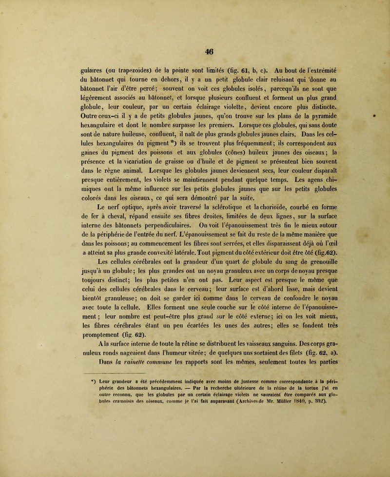 gulaires (ou trapezoïdes) de la pointe sont limités (fig. 61, b, c). Au bout de l'extrémité du bâtonnet qui tourne en dehors, il y a un petit globule clair reluisant qui ‘donne au bâtonnet l’air d’être percé; souvent on voit ces globules isolés, parcequ’ils ne sont que légèrement associés au bâtonnet, et lorsque plusieurs confluent et forment un plus grand globule, leur couleur, par un certain éclairage violette, devient encore plus distincte. Outre ceux-ci il y a de petits globules jaunes, qu’on trouve sur les plans de la pyramide hexangulaire et dont le nombre surpasse les premiers. Lorsque ces globules, qui sans doute sont de nature huileuse, confluent, il naît de plus grands globules jaunes clairs. Dans les cel- lules hexangulaires du pigment*) ils se trouvent plus fréquemment ; ils correspondent aux gaines du pigment des poissons et aux globules (cônes) huileux jaunes des oiseaux; la présence et la vicariation de graisse ou d’huile et de pigment se présentent bien souvent dans le règne animal. Lorsque les globules jaunes deviennent secs, leur couleur disparaît presque entièrement, les violets se maintiennent pendant quelque temps. Les agens chi- miques ont la même influence sur les petits globules jaunes que sur les petits globules colorés dans les oiseaux, ce qui sera démontré par la suite. Le nerf optique, après avoir traversé la sclérotique et lachorioïde, courbé en forme de fer à cheval, répand ensuite ses fibres droites, limitées de deux lignes, sur la surface interne des bâtonnets perpendiculaires. On voit l’épanouissement très fin le mieux autour de la périphérie de l’entrée du nerf. L’épanouissement se fait du reste de la même manière que dans les poissons; au commencement les fibres sont serrées, et elles disparaissent déjà où l’œil a atteint sa plus grande convexité latérale. Tout pigment du côté extérieur doit être ôté (fig.62). Les cellules cérébrales ont la grandeur d’un quart de globule du sang de grenouille jusqu’à un globule; les plus grandes ont un noyau granuleux avec un corps de noyau presque toujours distinct; les plus petites n’en ont pas. Leur aspect est presque le même que celui des cellules cérébrales dans le cerveau ; leur surface est d’abord lisse, mais devient bientôt granuleuse; on doit se garder ici comme dans le cerveau de confondre le noyau avec toute la cellule. Elles forment une seule couche sur le côté interne de l’épanouisse- ment ; leur nombre est peut-être plus grand sur le côté externe; ici on les voit mieux, les fibres cérébrales étant un peu écartées les unes des autres; elles se fondent très promptement (fig. 62). A la surface interne de toute la rétine se distribuent les vaisseaux sanguins. Des corps gra- nuleux ronds nageaient dans l’humeur vitrée; de quelques uns sortaient des filets (fig.62, a). Dans la rainette commune les rapports sont les mêmes, seulement toutes les parties *) Leur grandeur a été précédemment indiquée avec moins de justesse comme correspondante à ta péri- phérie des bâtonnets hexangulaires. — Par ta recherche ultérieure de la rétine de la tortue j’ai en outre reconnu, que les globules par un certain éclairage violets ne sauraient être comparés aux glo- bules cramoisis des oiseaux, comme je l’ai fait auparavant (Archivesde Mr. Muller 1840, p. 332).
