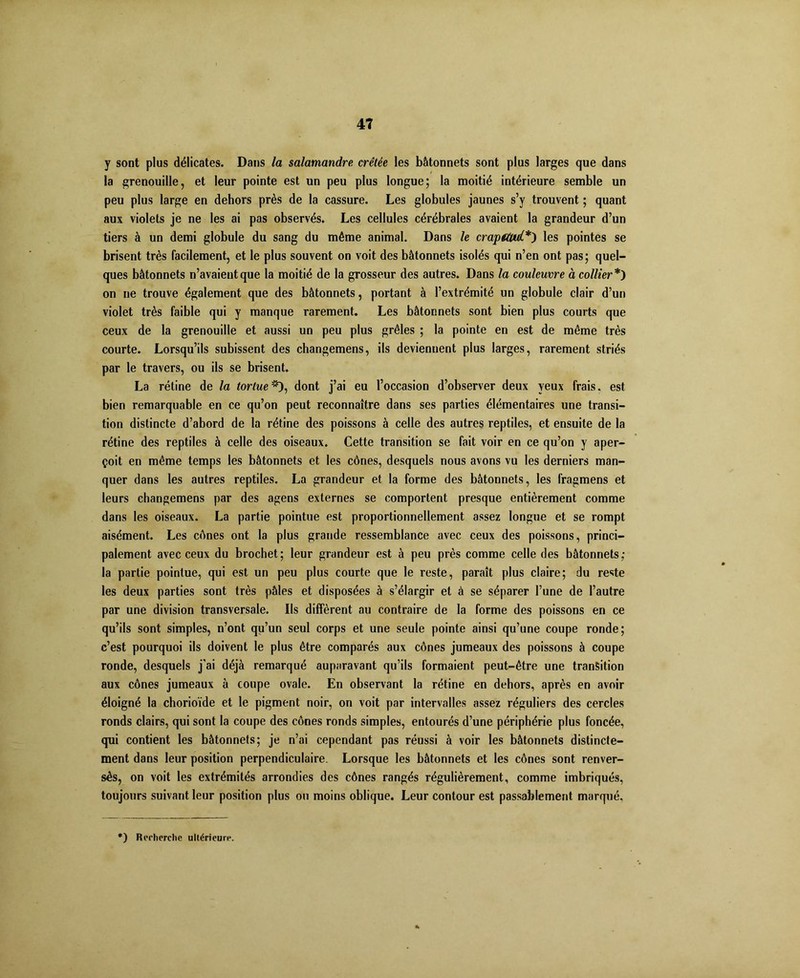 4T y sont plus délicates. Dans la salamandre, crêtée les bâtonnets sont plus larges que dans la grenouille, et leur pointe est un peu plus longue; la moitié intérieure semble un peu plus large en dehors près de la cassure. Les globules jaunes s’y trouvent ; quant aux violets je ne les ai pas observés. Les cellules cérébrales avaient la grandeur d’un tiers à un demi globule du sang du même animal. Dans le crapaud*) les pointes se brisent très facilement, et le plus souvent on voit des bâtonnets isolés qui n’en ont pas; quel- ques bâtonnets n’avaient que la moitié de la grosseur des autres. Dans la couleuvre à collier*') on ne trouve également que des bâtonnets, portant à l’extrémité un globule clair d’un violet très faible qui y manque rarement. Les bâtonnets sont bien plus courts que ceux de la grenouille et aussi un peu plus grêles ; la pointe en est de même très courte. Lorsqu’ils subissent des changemens, ils deviennent plus larges, rarement striés par le travers, ou ils se brisent. La rétine de la tortue*), dont j’ai eu l’occasion d’observer deux yeux frais, est bien remarquable en ce qu’on peut reconnaître dans ses parties élémentaires une transi- tion distincte d’abord de la rétine des poissons à celle des autres reptiles, et ensuite de la rétine des reptiles à celle des oiseaux. Cette transition se fait voir en ce qu’on y aper- çoit en même temps les bâtonnets et les cônes, desquels nous avons vu les derniers man- quer dans les autres reptiles. La grandeur et la forme des bâtonnets, les fragmens et leurs changemens par des agens externes se comportent presque entièrement comme dans les oiseaux. La partie pointue est proportionnellement assez longue et se rompt aisément. Les cônes ont la plus grande ressemblance avec ceux des poissons, princi- palement avec ceux du brochet; leur grandeur est à peu près comme celle des bâtonnets; la partie pointue, qui est un peu plus courte que le reste, paraît plus claire; du reste les deux parties sont très pâles et disposées à s’élargir et à se séparer l’une de l’autre par une division transversale. Ils diffèrent au contraire de la forme des poissons en ce qu’ils sont simples, n’ont qu’un seul corps et une seule pointe ainsi qu’une coupe ronde; c’est pourquoi ils doivent le plus être comparés aux cônes jumeaux des poissons à coupe ronde, desquels j’ai déjà remarqué auparavant qu’ils formaient peut-être une transition aux cônes jumeaux à coupe ovale. En observant la rétine en dehors, après en avoir éloigné la chorioïde et le pigment noir, on voit par intervalles assez réguliers des cercles ronds clairs, qui sont la coupe des cônes ronds simples, entourés d’une périphérie plus foncée, qui contient les bâtonnets; je n’ai cependant pas réussi à voir les bâtonnets distincte- ment dans leur position perpendiculaire. Lorsque les bâtonnets et les cônes sont renver- sés, on voit les extrémités arrondies des cônes rangés régulièrement, comme imbriqués, toujours suivant leur position plus ou moins oblique. Leur contour est passablement marqué.