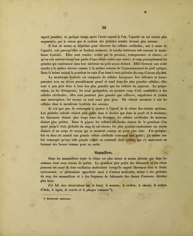 aspect jaunâtre, et, quelque temps après l’avoir exposé à l’air, l’opacité en est encore plus augmentée, par la raison que la couleur des globules semble devenir plus intense. Il faut de même se dépêcher pour observer les cellules cérébrales, soit à cause de l’opacité, soit parcequ’elles se fondent aisément; la couche intérieure suit souvent la mem- brane hyaloïde. Elles sont rondes, ovales par la pression, transparentes et claires, ce qu’on voit surtout lorsqu’une partie d’une cellule couvre une autre; ce sont principalement les grandes qui contiennent dans leur intérieur un petit noyau distinct. Elles forment une seule couche à la surface interne comme à la surface externe de l’épanouissement du nerf optique. Dans le même animal la grandeur en varie d’un demi à trois globules du sang d’oiseau (fig.70). La membrane hyaloïde est composée de cellules hexagones fort délicates et trans- parentes avec un noyau passablement grand et rond dans les plus grandes cellules; elles sont à peu près deux à trois fois plus grandes que les cellules du pigment. La prépa- ration, en les dérangeant, les rend quelquefois, au premier coup d’œil, semblables à des cellules cérébrales; elles sont pourtant plus grandes que celles-ci, anguleuses et jointes sans interruption; les noyaux en sont aussi plus gros. On réussit rarement à voir les cellules dans la membrane hyaloïde des oiseaux. Je n’ai que peu de remarques à ajouter à l’égard de la rétine des oiseaux spéciaux. Les globules colorés étaient plus petits dans le dindon que dans la poule et le moineau; les bâtonnets étaient plus longs dans les derniers; les cellules cérébrales du moineau étaient plus petites. Dans le pigeon les cellules cérébrales étaient de la grandeur d’un quart jusqu’à trois globules du sang de cet oiseau ; les plus grandes contenaient un noyau distinct et un corps de noyau qui se montrait comme un point plus clair. J’ai quelque- fois vu dans cet animal une grande cellule cérébrale contenant une petite; j’ai même une fois remarqué qu’une telle grande cellule en contenait deux petites, qui s’y mouvaient en formant des bosses comme pour en sortir. Mammifères. Dans les mammifères toute la rétine est plus mince et moins pâteuse que dans les animaux dont nous venons de parler. La grandeur plus petite des bâtonnets et des cônes jumeaux est cause de leur oscillation moléculaire lorsqu’ils nagent librement dans le fluide environnant; ce phénomène appartient aussi à d’autres molécules, même à des globules du sang des mammifères et à des fragmens de bâtonnets des classes d’animaux décrites plus haut. J’ai fait mes observations sur le bœuf\ le mouton, le cochon, le cheval, le cochon d'Inde, le lapin, la souris et le phoque commun*').
