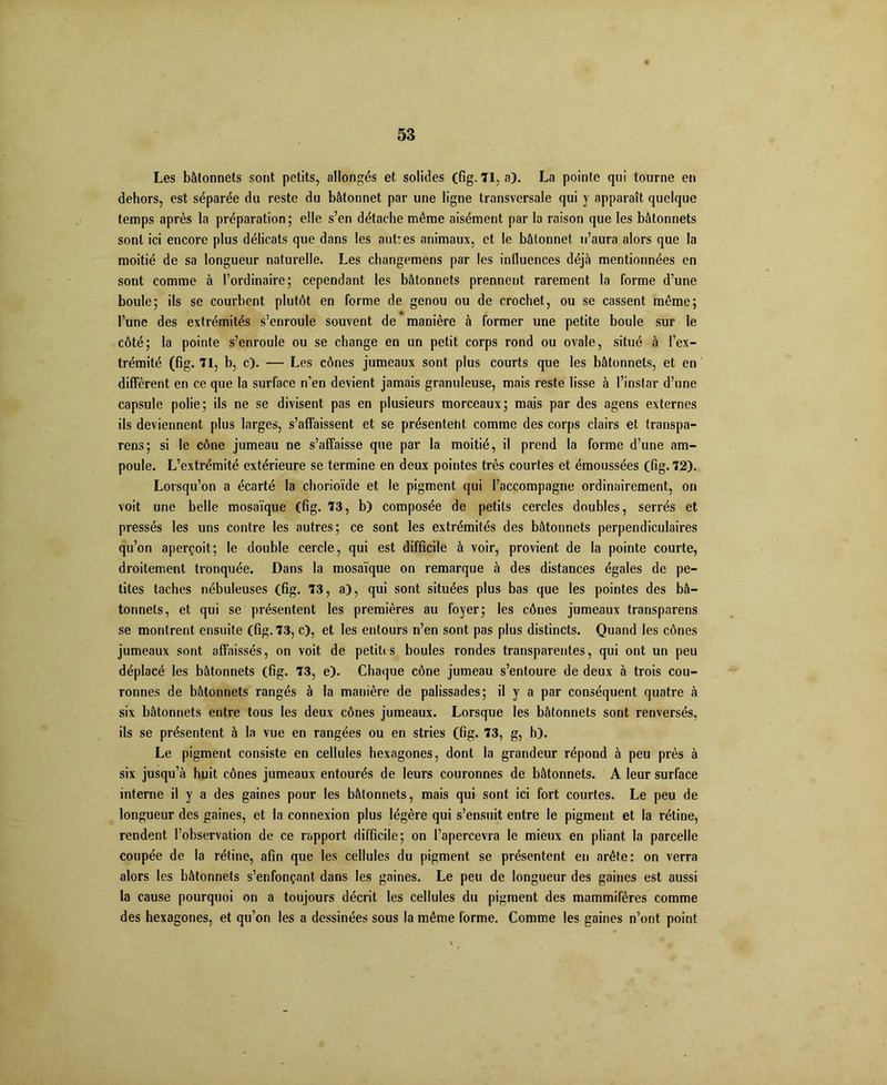 Les bâtonnets sont petits, allongés et solides (fig. 71, a). La pointe qui tourne en dehors, est séparée du reste du bâtonnet par une ligne transversale qui y apparaît quelque temps après la préparation ; elle s’en détache même aisément par la raison que les bâtonnets sont ici encore plus délicats que dans les aut:es animaux, et le bâtonnet n’aura alors que la moitié de sa longueur naturelle. Les changemens par les influences déjà mentionnées en sont comme à l’ordinaire; cependant les bâtonnets prennent rarement la forme d’une boule; ils se courbent plutôt en forme de genou ou de crochet, ou se cassent même; l’une des extrémités s’enroule souvent de manière à former une petite boule sur le côté; la pointe s’enroule ou se change en un petit corps rond ou ovale, situé à l’ex- trémité (fig. 71, b, c). — Les cônes jumeaux sont plus courts que les bâtonnets, et en diffèrent en ce que la surface n’en devient jamais granuleuse, mais reste lisse à l’instar d’une capsule polie; ils ne se divisent pas en plusieurs morceaux; mais par des agens externes ils deviennent plus larges, s’affaissent et se présentent comme des corps clairs et transpa- rens; si le cône jumeau ne s’affaisse que par la moitié, il prend la forme d’une am- poule. L’extrémité extérieure se termine en deux pointes très courtes et émoussées (fig. 72). Lorsqu’on a écarté la chorioïde et le pigment qui l’accompagne ordinairement, on voit une belle mosaïque (fig. 73, b) composée de petits cercles doubles, serrés et pressés les uns contre les autres; ce sont les extrémités des bâtonnets perpendiculaires qu’on aperçoit; le double cercle, qui est difficile à voir, provient de la pointe courte, droitement tronquée. Dans la mosaïque on remarque à des distances égales de pe- tites taches nébuleuses (fig. 73, a), qui sont situées plus bas que les pointes des bâ- tonnets, et qui se présentent les premières au foyer; les cônes jumeaux transparens se montrent ensuite (fig. 73, c), et les entours n’en sont pas plus distincts. Quand les cônes jumeaux sont affaissés, on voit de petites boules rondes transparentes, qui ont un peu déplacé les bâtonnets (fig. 73, e). Chaque cône jumeau s’entoure de deux à trois cou- ronnes de bâtonnets rangés à la manière de palissades; il y a par conséquent quatre à six bâtonnets entre tous les deux cônes jumeaux. Lorsque les bâtonnets sont renversés, ils se présentent à la vue en rangées ou en stries (fig. 73, g, h)- Le pigment consiste en cellules hexagones, dont la grandeur répond à peu près à six jusqu’à huit cônes jumeaux entourés de leurs couronnes de bâtonnets. A leur surface interne il y a des gaines pour les bâtonnets, mais qui sont ici fort courtes. Le peu de longueur des gaines, et la connexion plus légère qui s’ensuit entre le pigment et la rétine, rendent l’observation de ce rapport difficile; on l’apercevra le mieux en pliant la parcelle coupée de la rétine, afin que les cellules du pigment se présentent en arête: on verra alors les bâtonnets s’enfonçant dans les gaines. Le peu de longueur des gaines est aussi la cause pourquoi on a toujours décrit les cellules du pigment des mammifères comme des hexagones, et qu’on les a dessinées sous la même forme. Comme les gaines n’ont point