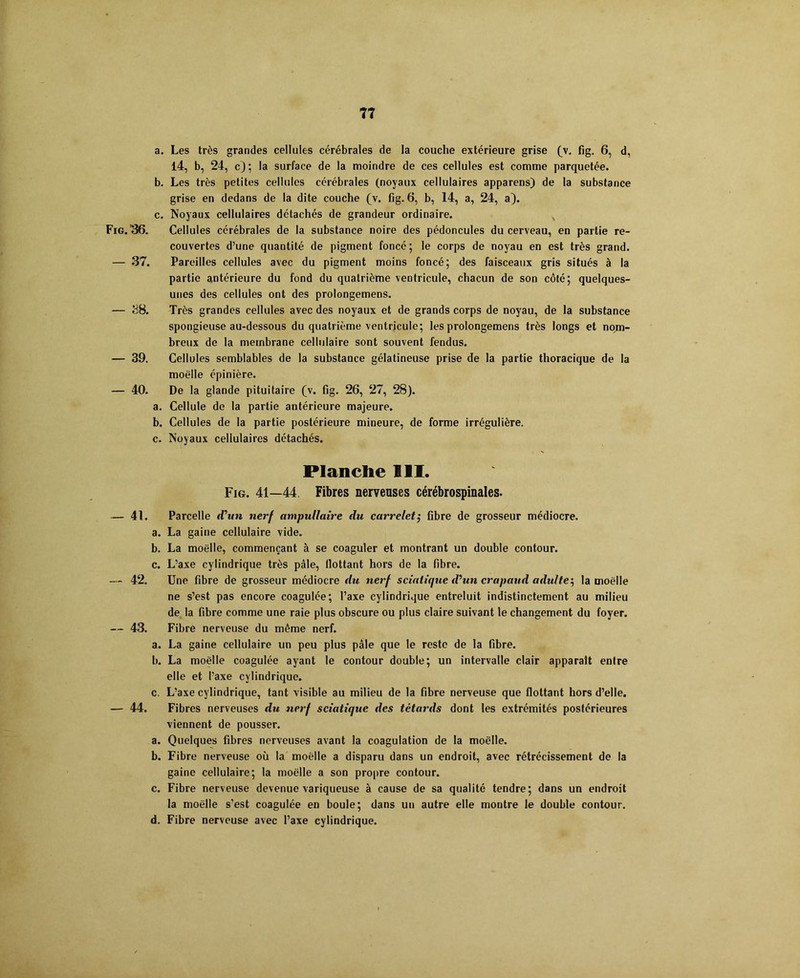 Fig. 36. — 37. — 38. — 39. — 40. a. Les très grandes cellules cérébrales de la couche extérieure grise (v. fig. 6, d, 14, b, 24, c); la surface de la moindre de ces cellules est comme parquetée. b. Les très petites cellules cérébrales (noyaux cellulaires apparens) de la substance grise en dedans de la dite couche (v. fig. 6, b, 14, a, 24, a}. c. Noyaux cellulaires détachés de grandeur ordinaire. Cellules cérébrales de la substance noire des pédoncules du cerveau, en partie re- couvertes d’une quantité de pigment foncé; le corps de noyau en est très grand. Pareilles cellules avec du pigment moins foncé; des faisceaux gris situés à la partie antérieure du fond du quatrième ventricule, chacun de son côté; quelques- unes des cellules ont des prolongemens. Très grandes cellules avec des noyaux et de grands corps de noyau, de la substance spongieuse au-dessous du quatrième ventricule; les prolongemens très longs et nom- breux de la membrane cellulaire sont souvent fendus. Cellules semblables de la substance gélatineuse prise de la partie thoracique de la moelle épinière. De la glande pituitaire (v. fig. 26, 27, 28). a. Cellule de la partie antérieure majeure. b. Cellules de la partie postérieure mineure, de forme irrégulière. c. Noyaux cellulaires détachés. Planche III. Fig. 41—44 Fibres nerveuses cérébrospinales. — 41. Parcelle d’un nerf ampullaire du carrelet $ fibre de grosseur médiocre. a. La gaine cellulaire vide. b. La moelle, commençant à se coaguler et montrant un double contour. c. L’axe cylindrique très pâle, llottant hors de la fibre. — 42. Une fibre de grosseur médiocre du nerf sciatique d’un crapaud adulte ; la moelle ne s’est pas encore coagulée; l’axe cylindrique entreluit indistinctement au milieu de la fibre comme une raie plus obscure ou plus claire suivant le changement du foyer. — 43. Fibre nerveuse du même nerf. a. La gaine cellulaire un peu plus pâle que le reste de la fibre. b. La moelle coagulée ayant le contour double; un intervalle clair apparaît entre elle et l’axe cylindrique. c. L’axe cylindrique, tant visible au milieu de la fibre nerveuse que flottant hors d’elle. — 44. Fibres nerveuses du nerf sciatique des têtards dont les extrémités postérieures viennent de pousser. a. Quelques fibres nerveuses avant la coagulation de la moelle. b. Fibre nerveuse où la moelle a disparu dans un endroit, avec rétrécissement de la gaine cellulaire; la moelle a son propre contour. c. Fibre nerveuse devenue variqueuse à cause de sa qualité tendre; dans un endroit la moelle s’est coagulée en boule; dans un autre elle montre le double contour. d. Fibre nerveuse avec l’axe cylindrique.