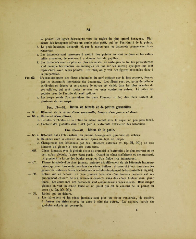 la pointe; les lignes descendent vers les angles du plus grand hexagone. Plu- sieurs des hexagones offrent un cercle plus petit, qui est l’extrémité de la pointe. d. Le petit hexagone disparait ici, par la raison que les bâtonnets commencent à se renverser. e. Les bâtonnets sont renversés à moitié; les pointes en sont perdues et les extré- mités arrondies, de manière à y donner l’air de papilles. f. Les bâtonnets sont de plus en plus renversés, de sorte qu’à la fin les plus externes sont presque horizontaux ou imbriqués les uns sur les autres; quelques-uns sont représentés avec leurs pointes. De plus, on y voit des figures rayonnées dues à la préparation. Fig. 62. L’épanouissement des fibres cérébrales du nerf optique sur la face concave, formée par les extrémités intérieures des bâtonnets. Les fibres sont couvertes de cellules cérébrales en dehors et en dedans; le noyau est visible dans les plus grandes de ces cellules, qui sont toutes serrées les unes contre les autres. Là pièce est coupée près de l’entrée du nerf optique. a. Les corps ronds d’un granuleux fin dans l’humeur vitrée; des filets sortent de plusieurs de ces corps. Fig. 63—64. Rétine de têtards et de petites grenouilles. — 63. Bâtonnet de la rétine d’une grenouille, longue dun pouce et demi. — 64. a. Bâtonnet d’un têtard. b. Cellules cérébrales de la rétine du même animal avec le noyau un peu plus foncé. c. Contour des globules d’un violet pâle à l’extrémité extérieure des bâtonnets. Fig. 65—70. Rétine de la poule. — 65. a. Bâtonnet dans l’état naturel en prisme hexangulaire pyramidé en dehors. b, Bâtonnet avec la cassure au milieu après un laps de temps. c. Changemens des bâtonnets par des influences externes (v. fig. 52, 60); on voit souvent un globule à l’une des extrémités. — 66. Cônes jumeaux avec le globule citiin ou cramoisi à l’extrémité; le plus souvent on ne voit qu’un globule, l’autre étant perdu. Quand les cônes s’affaissent et s’élargissent, ils prennent la forme des boules remplies d’un fluide très transparent. — 67. Figure imaginée d’un cône jumeau, entouré régulièrement de six bâtonnets hexangu- laires, qui sont tous renfermés dans des cônes huileux, et ceux-ci à leur tour dans des gaines verticales sur la surface interne des cellules du pigment de la chorioïde (v.fig.54). — 68. Rétine vue en dehors; un cône jumeau dans son cône huileux cramoisi est ré- gulièrement entouré de six bâtonnets enfoncés dans des cônes huileux d’un jaune foncé. Les couronnes des bâtonnets sont communes aux cônes voisins. Dans chaque globule on voit un cercle foncé ou un point qui est le contour de la pointe du cône (v. fig. 55, 56). — 69. Rétine vue en dehors. a. Les bâtonnets et les cônes jumeaux sont plus ou moins renversés, de manière à former des stries situées les unes à côté des autres. La majeure partie des globules colorés est conservée. Il