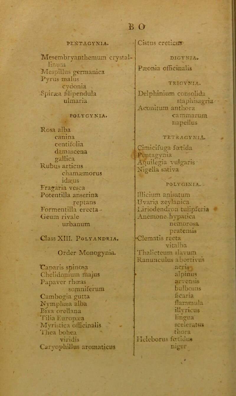 PEirTAGYNIA. Mesembryanthemum crystal- llnura Mespillus germanica Pyrus mains cydonia Spirasa fUipenduIa ulmaria POLYCYNIA. <• Rosa alba canina centifolia damascena gallica Rubus articus chamsemorus idajus Fragaria vesca Poteiitilla anserina reptans Formentllla erecta- (Jeum rivale . urbanum Class XIII. POLYANDRIA. Order Monogynia. TCaparis spinosa C;:heIidonium majus Papaver rhoeas somniferum Cambogia gutta Nymphaia alba ' Bixa Orellana 'I'ilia F.urupxa Myribtica officinalis 'I'hca lx)hca viridis Caryophillus aromaticus • Cistiis creticu? DICYNJA. Psonia officinalis TRJOYNIA. Delpbinlnm consolida staphisagria ■ Aconitum anthora cammarum napellus TETRAGYNI.1.. Cimicifuga foerlda ^ Pentagynia A^uilegia vulgaris • Nigella sativa POLYGIXl.S. . Illicium a.nisatum Uvaria zevlanica Idriodendron tiihpfena * Anemone-hypatica nexnorosa pratensis ■Clematis recta vitalba Thalicteum slavum Ranunculus abortivu's acris-) ► alpinus arvcnsis bulbosus ficaria flammula illvricus lingua scclcratui til ora Ilcleborus futldi;« iiigcr
