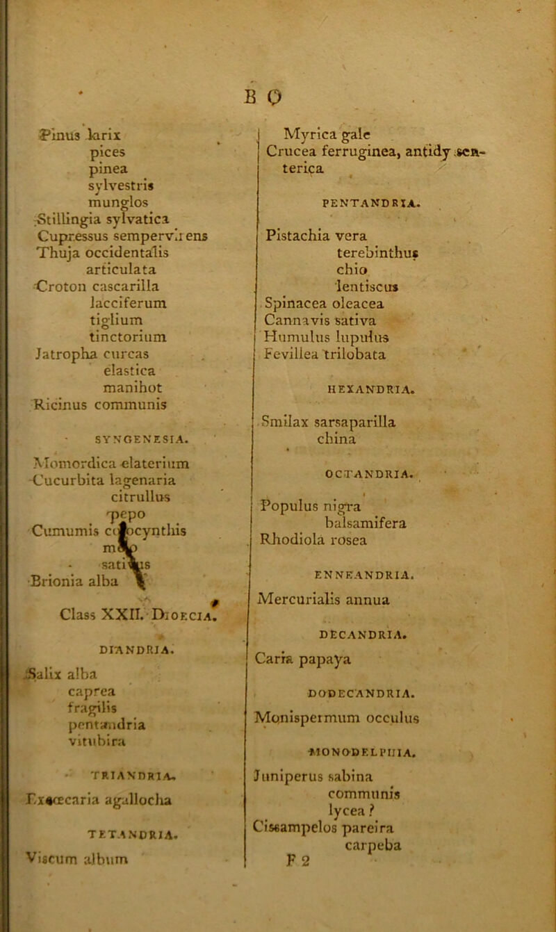 yinus larii pices pinea sylvestris munglos StilUngia sylvatica Cupressus sempervii ens Thuja occidentalis articulata •Croton cascarilla Jacciferum tiglium tinctorium Jatropha curcas elastica manihot Ricinus communis SYVOENESIA. Momordica elaterinm -Cucurbita lagenaria citrullus Cumumis cclocynthis m!^ satiws Erionia alba \ Class XXII. DiOECiA. DIANDIUA. ^alix alba caprea fragilis ppntiTiidria vitubira - TRIAXnRlA. F/X^OEcaria agalloclia TETANORIA. BO i Myrica gale I Crucea ferruginea, antldj terica f PENTANDRZA. Pistachia vera terebinthu* chio lentiscus Spinacea oleacea Cannavis sativa Humulus lupulus Fevillea trilobata HEXAN-DRIA. Smilax sarsaparilla china OC.TANDRIA. Populus nigi-a balsamifera , Rliodiola rosea ENNEANDRIA. Mercurialis annua DECANDRIA. Carra papaya DODECANDRIA. Monispermum occulus MONORELPIIIA. Juniperus sabina communis lycea ? Ciseampelos pareira carpeba csca-