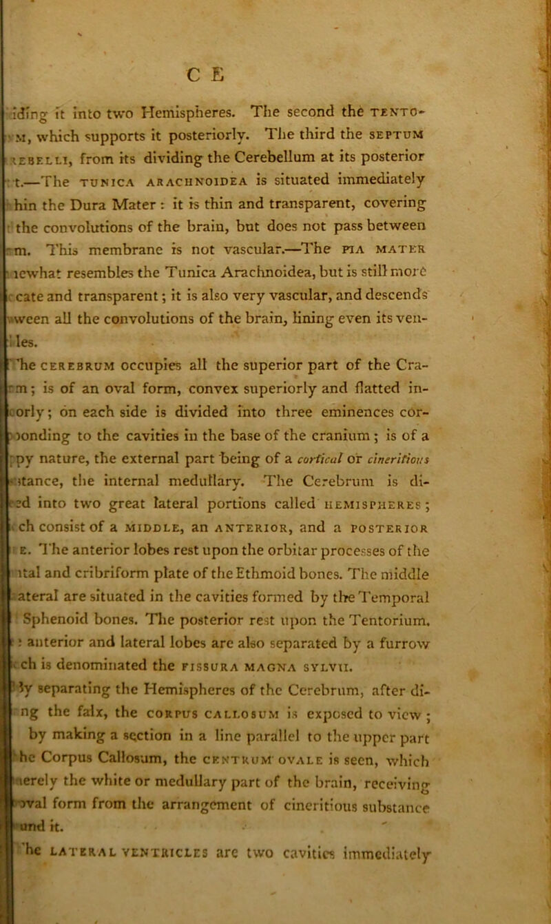 iding It into two Hemispheres. The second the tento- • M, which supports it posteriorly. The third the septum 1E8ELLI, from its dividing the Cerebellum at its posterior r t.—The tunic.'V araciinoidea is situated immediately hin the Dura Mater : it is thin and transparent, covering ■ the convolutions of the brain, but does not pass between cm. This membrane is not vascular.—^l^he pia mater lewhat resembles the Tunica Arachnoidea, but is still more c cate and transparent; it is also very vascular, and descends ^'ween all the convolutions of the brain, lining even its ven- II les. he cerebrum occupies all the superior part of the Cra- rm; is of an oval form, convex superiorly and flatted in- corly; on each side is divided into three eminences cor- > jonding to the cavities in the base of the cranium; is of a 'py nature, the external part being of a cortical or cineritious •utance, the internal medullary. The Ce.-ebrum is di- rcd into two great lateral portions called hemispheres ; 1 ch consist of a middle, an anterior, and a posterior E. The anterior lobes rest upon the orbitar processes of the ital and cribriform plate of the Ethmoid bones. The middle .'ateral are situated in the cavities fonned by tire Temporal Sphenoid bones. Tlie posterior rest upon the Tentorium. “: anterior and lateral lobes arc also separated by a furrow ichis denominated the fissura magna sylvii. ’ ?y separating the Hemispheres of the Cerebrum, after di- ng the falx, the corpus callosum is exposed to view; by making a section in a line parallel to the upper part ^hc Corpus Callosum, the centrum' ovale is seen, which merely the white or medullary part of the brain, receiving *uval form from the arrangement of cineritious substance ^•und it. ’he LATERAL ventricles are two cavities immediately