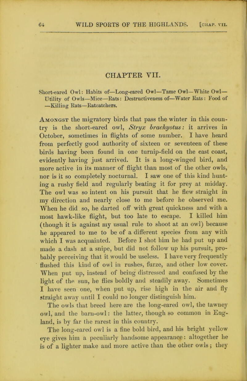 CHAPTER VII. Short-eared. Owl: Habits of—Long-eared Owl—Tame Owl—White Owl— Utility of Owls—Mice—Rats: Destructiveness of—Water Rats: Food of —Killing Rats—Ratcatchers. Amongst the migratory birds that pass the winter in this coun- try is the short-eared owl, Stryx brachyotus: it arrives in October, sometimes in flights of some number. I have heard from perfectly good authority of sixteen or seventeen of these birds having been found in one turnip-field on the east coast, evidently having just arrived. It is a long-winged bird, and more active in its manner of flight than most of the other owls, nor is it so completely nocturnal. I saw one of this kind hunt- ing a rushy field and regularly beating it for prey at midday. The owl was so intent on his pursuit that he flew straight in my direction and nearly close to me before he observed me. When he did so, he darted off with great quickness and with a most hawk-like flight, but too late to escape. I killed him (though it is against my usual rule to shoot at an owl) because he appeared to me to be of a different species from any with which I was acquainted. Before I shot him he had put up and made a dash at a snipe, but did not follow up his pursuit, pro- bably perceiving that it would be useless. I have very frequently flushed this kind of owl in rushes, furze, and other low cover. When put up, instead of being distressed and confused by the light of the sun, he flies boldly and steadily away. Sometimes I have seen one, when put up, rise high in the air and fly straight away until I could no longer distinguish him. The owls that breed here are the long-eared owl, the tawney owl, and the barn-owl: the latter, though so common in Eng- land, is by far the rarest in this country. The long-eared owl is a fine bold bird, and his bright yellow eye gives him a peculiarly handsome appearance: altogether he is of a lighter make and more active than the other owls; they