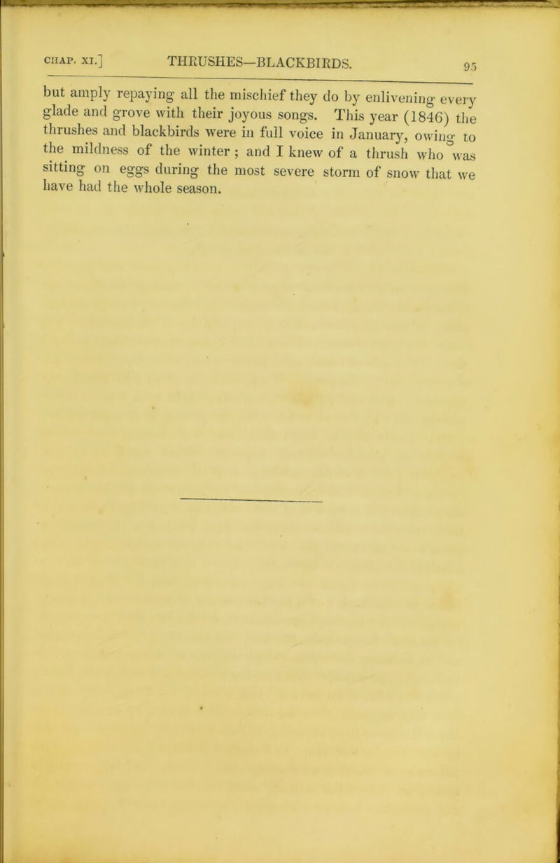 95 but amply repaying all the mischief they do by enlivening every glade and grove with their joyous songs. This year (1846) the thrushes and blackbirds were in full voice in January, owin<>- to the mildness of the winter; and I knew of a thrush who°was sitting on eggs during the most severe storm of snow that we have had the whole season.