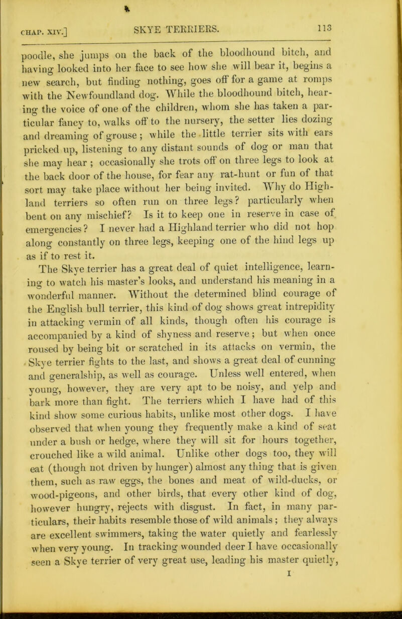 * chap, xiv.] SKYE TERRIERS. 11° poodle, she jumps on the back of the bloodhound bitch, and having looked into her face to see how she will bear it, begins a new search, but finding nothing, goes off for a game at romps with the Newfoundland dog. While the bloodhound bitch, hear- ing the voice of one of the children, whom she has taken a pai- ticular fancy to, walks off to the nursery, the setter lies dozing and dreaming of grouse; while the little terrier sits with eais pricked up, listening to any distant sounds of dog or man that she may hear ; occasionally she trots oft on three legs to look at the back door of the house, for fear any rat-hunt or fun of that sort may take place without her being invited. Why do High- land terriers so often run on three legs? particularly when bent on any mischief? Is it to keep one in reserve in case of emergencies? I never had a Highland terrier who did not hop along constantly on three legs, keeping one of the hind legs up as if to rest it. The Skye terrier has a great deal of quiet intelligence, learn- ing to watch his master’s looks, and understand his meaning in a wonderful manner. Without the determined blind courage of the English bull terrier, this kind of dog shows great intrepidity in attacking vermin of all kinds, though often Ids courage is accompanied by a kind of shyness and reserve ; but when once roused by being bit or scratched in its attacks on vermin, the Skye terrier fights to the last, and shows a great deal of cunning and generalship, as well as courage. Unless well entered, when young, however, they are very apt to be noisy, and yelp and bark more than fight. The terriers which I have had of this kind show some curious habits, unlike most other dogs. I have observed that when young they frequently make a kind of seat under a bush or hedge, where they will sit for hours together, crouched like a wild animal. Unlike other dogs too, they will eat (though not driven by hunger) almost any thing that is given them, such as raw eggs, the bones and meat of wild-ducks, or wood-pigeons, and other birds, that every other kind of dog, however hungry, rejects with disgust. In fact, in many par- ticulars, their habits resemble those of wild animals ; they always are excellent swimmers, taking the water quietly and fearlessly when very young. In tracking wounded deer I have occasionally seen a Skye terrier of very great use, leading his master quietly,