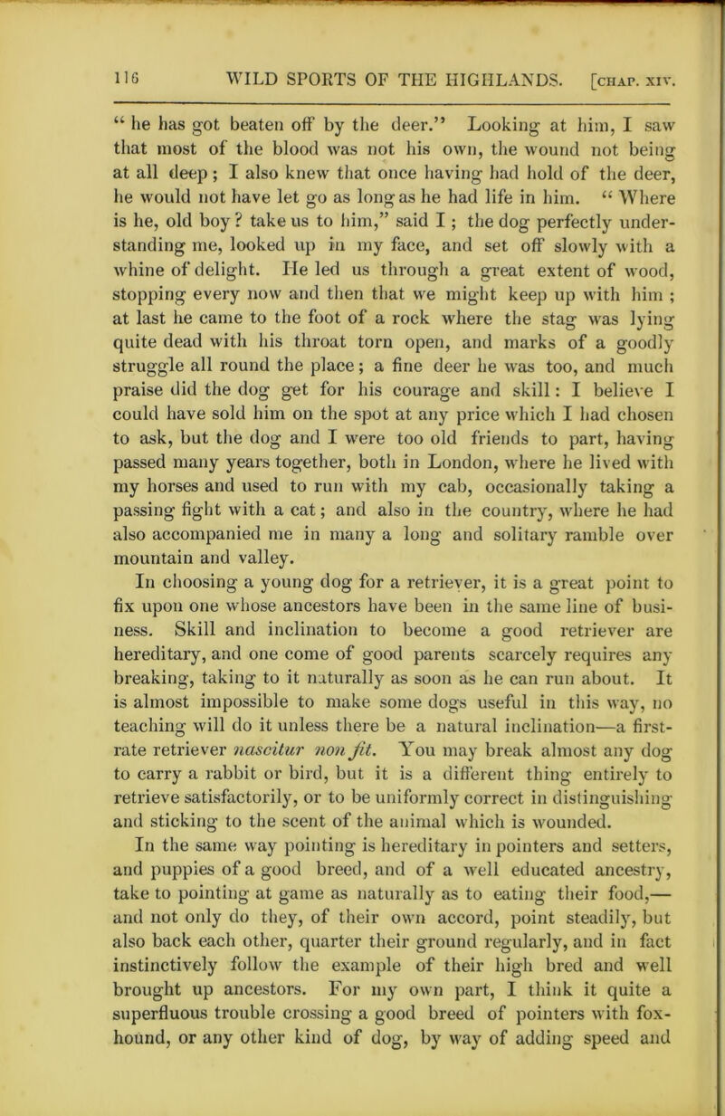 “ he has got beaten off by the deer.” Looking at him, I saw that most of the blood was not his own, the wound not being at all deep; I also knew that once having had hold of the deer, he would not have let go as long as he had life in him. “ Where is he, old boy ? take us to him,” said I; the dog perfectly under- standing me, looked up in my face, and set off slowly with a whine of delight. Ide led us through a great extent of wood, stopping every now and then that we might keep up with him ; at last he came to the foot of a rock where the stag was lying quite dead with his throat torn open, and marks of a goodly struggle all round the place; a fine deer he was too, and much praise did the dog get for his courage and skill: I believe I could have sold him on the spot at any price which I had chosen to ask, but the dog and I were too old friends to part, having passed many years together, both in London, where he lived with my horses and used to run with my cab, occasionally taking a passing fight with a cat; and also in the country, where he had also accompanied me in many a long and solitary ramble over mountain and valley. In choosing a young dog for a retriever, it is a great point to fix upon one whose ancestors have been in the same line of busi- ness. Skill and inclination to become a good retriever are hereditary, and one come of good parents scarcely requires any breaking, taking to it naturally as soon as he can run about. It is almost impossible to make some dogs useful in this way, no teaching will do it unless there be a natural inclination—a first- rate retriever nascitur non Jit. You may break almost any dog to carry a rabbit or bird, but it is a different thing entirely to retrieve satisfactorily, or to be uniformly correct in distinguishing and sticking to the scent of the animal which is wounded. In the same way pointing is hereditary in pointers and setters, and puppies of a good breed, and of a well educated ancestry, take to pointing at game as naturally as to eating their food,— and not only do they, of their own accord, point steadily, but also back each other, quarter their ground regularly, and in fact instinctively follow the example of their high bred and well brought up ancestors. For my own part, I think it quite a superfluous trouble crossing a good breed of pointers with fox- hound, or any other kind of dog, by way of adding speed and