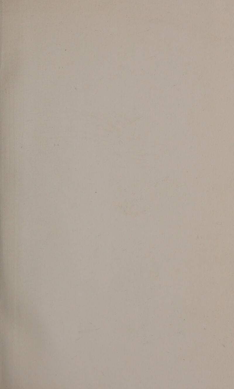 = 7 \ ' 2 alae = % _ 4 y ‘ r De - ' 4 } = a ‘ os is “ ‘ a - t i ‘. 4 : a 5 \ i ¢ ’ \ ~ | i \ &gt; s Ps \ 4 - : \ “ ~ ;