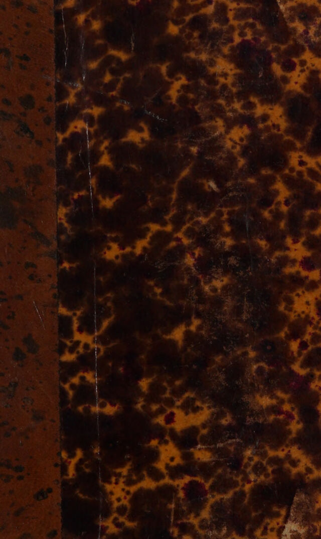 No text description is available for this image