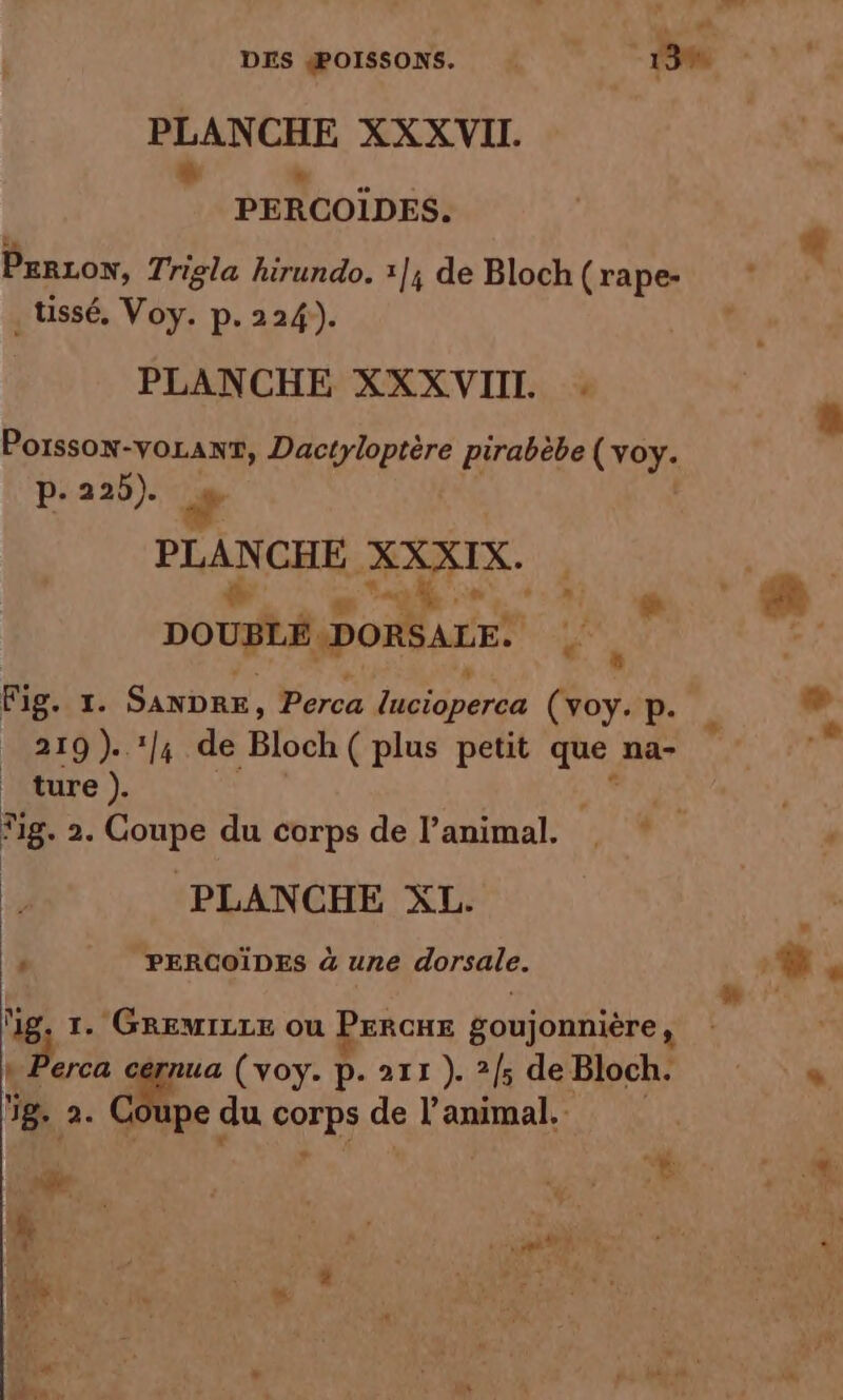 DES ŒæOISSONS. 138 - PLANCHE XXXWVII. s * PERCOIDES. PxnLon, Trigla hirundo. x]; de Bloch(rape- : * . uissé, Voy. p. 224). PLANCHE XXXVIIL : # Porsson-voranr, Dactyloptère pirabèbe ( voy. p- 225). PLANCHE XXXIX. be dut w. ag 1 % “, + # y a DOUBLÉ, DORSALE. Fu ‘ Fig. 1. SanDrx, Perca ro (voy. p. À e* Ki RAIN dé BD (plus petit que na- ture). is Fig. à: HORS du corps de l’animal. PLANCHE XL. î , PERCOÏDES à une dorsale. 2 à # Mg, 1. GREMILLE ou PercHe goujonnière, br, A nua (voy. P. 211 ). 2/5 de Bloch. * 8. 2. Coupe du res de l'animal.