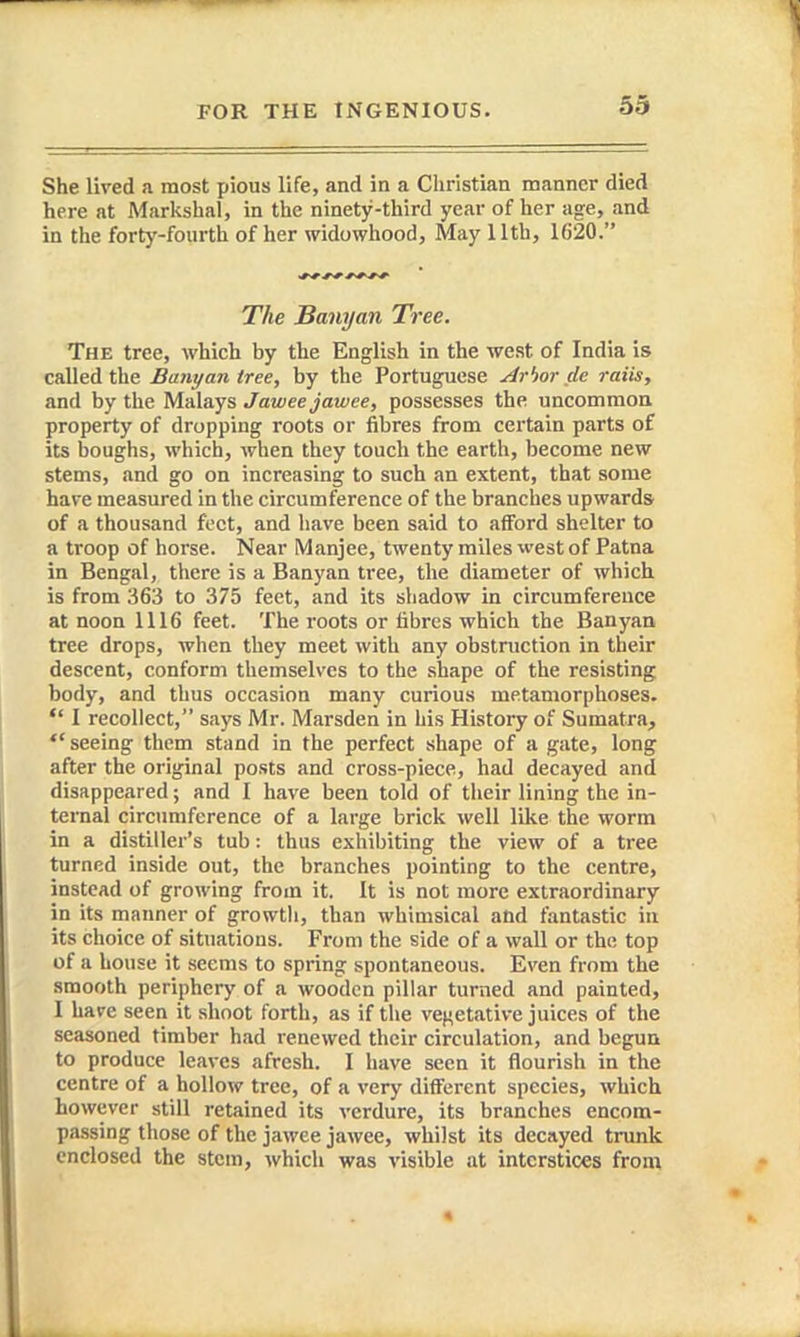 5d She lived a most pious life, and in a Christian manner died here at Alarkshal, in the ninety-third year of her age, and in the forty-fourth of her widowhood, May 11th, 1620. ~* * r-^ The Banyan Tree. The tree, which by the English in the west of India is called the Banyan tree, by the Portuguese Arbor fie raits, and by the Malays Jaweejawee, possesses the uncommoa property of dropping roots or fibres from certain parts of its boughs, which, when they touch the earth, become new stems, and go on increasing to such an extent, that some have measured in the circumference of the branches upwards of a thousand feet, and have been said to afford shelter to a troop of horse. Near Manjee, twenty miles west of Patna in Bengal, there is a Banyan tree, the diameter of which is from 363 to 375 feet, and its shadow in circumference at noon 1116 feet. The roots or fibres which the Banyan tree drops, when they meet with any obstruction in their descent, conform themselves to the shape of the resisting body, and thus occasion many curious metamorphoses.  I recollect, says Mr. Marsden in his History of Sumatra, *' seeing them stand in the perfect shape of a gate, long after the original posts and cross-piece, had decayed and disappeared; and I have been told of their lining the in- ternal circumference of a large brick well like the worm in a distiller's tub: thus exhibiting the view of a tree turned inside out, the branches pointing to the centre, instead of growing from it. It is not more extraordinary in its manner of growth, than whimsical and fantastic in its choice of situations. From the side of a wall or the top of a house it seems to spring spontaneous. Even from the smooth periphery of a wooden pillar turned and painted, I have seen it shoot forth, as if the vef^etative juices of the seasoned timber had renewed their circulation, and begun to produce leaves afresh. I have seen it flourish in the centre of a hollow tree, of a very different species, which however still retained its verdure, its branches encom- passing those of the jawee jawee, whilst its decayed trunk enclosed the stem, which was visible at interstices from