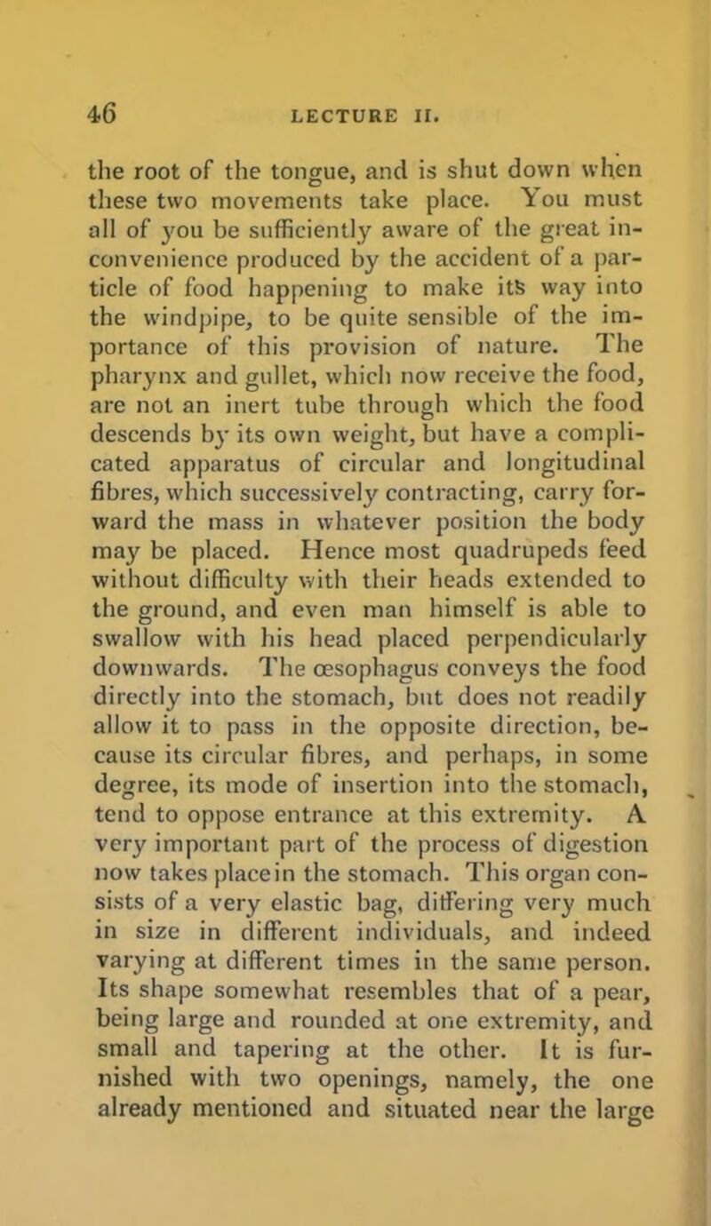 the root of the tongue, and is shut down when these two movements take place. You must all of you be sufficiently aware of the great in- convenience produced by the accident of a par- ticle of food happening to make its way into the windpipe, to be quite sensible of the im- portance of this provision of nature. The pharynx and gullet, which now receive the food, are not an inert tube through which the food descends by its own weight, but have a compli- cated apparatus of circular and longitudinal fibres, which successively contracting, carry for- ward the mass in whatever position the body may be placed. Hence most quadrupeds feed without difficulty with their heads extended to the ground, and even man himself is able to swallow with his head placed perpendicularly downwards. The oesophagus conveys the food directly into the stomach, but does not readily allow it to pass in the opposite direction, be- cause its circular fibres, and perhaps, in some degree, its mode of insertion into the stomach, tend to oppose entrance at this extremity. A very important part of the process of digestion now takes place in the stomach. This organ con- sists of a very elastic bag, differing very much in size in different individuals, and indeed varying at different times in the same person. Its shape somewhat resembles that of a pear, being large and rounded at one extremity, and small and tapering at the other. It is fur- nished with two openings, namely, the one already mentioned and situated near the large