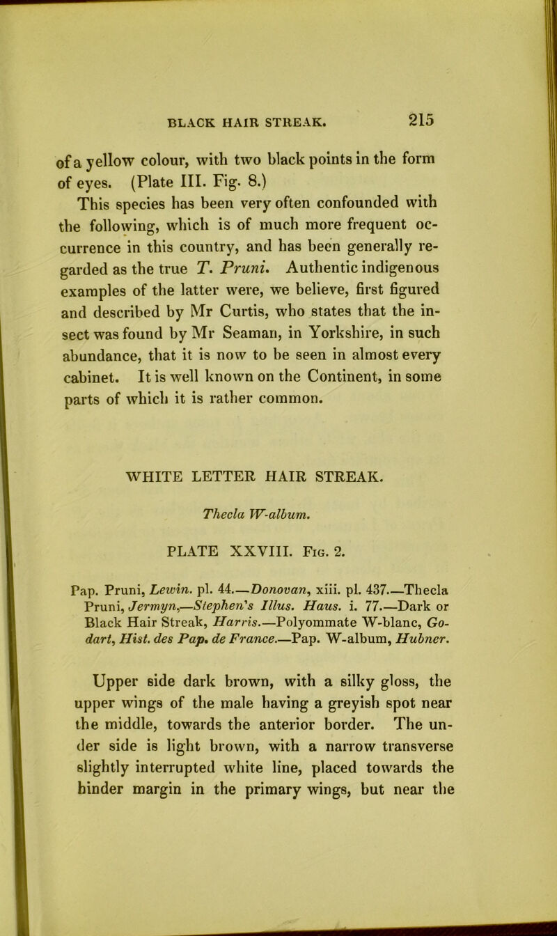 of a yellow colour, with two black points in the form of eyes. (Plate III. Fig. 8.) This species has been very often confounded with the following, which is of much more frequent oc- currence in this country, and has been generally re- garded as the true T. Pruni. Authentic indigenous examples of the latter were, we believe, first figured and described by Mr Curtis, who states that the in- sect was found by Mr Seaman, in Yorkshire, in such abundance, that it is now to be seen in almost every cabinet. It is well known on the Continent, in some parts of which it is rather common. WHITE LETTER HAIR STREAK. Thecla W-album. PLATE XXVIII. Fig. 2. Pap. Pruni, Leivin. pi. 44—Donovan, xiii. pi. 437 Thecla Pruni, Jermyn,—Stephen's Ulus. Haus. i. 77 Dark or Black Hair Streak, Harris.—Polyommate W-blanc, Go- dart, Hist, des Pap. de France—Pap. W-album, Hubner. Upper side dark brown, with a silky gloss, the upper wings of the male having a greyish spot near the middle, towards the anterior border. The un- der side is light brown, with a narrow transverse slightly interrupted white line, placed towards the hinder margin in the primary wings, but near the