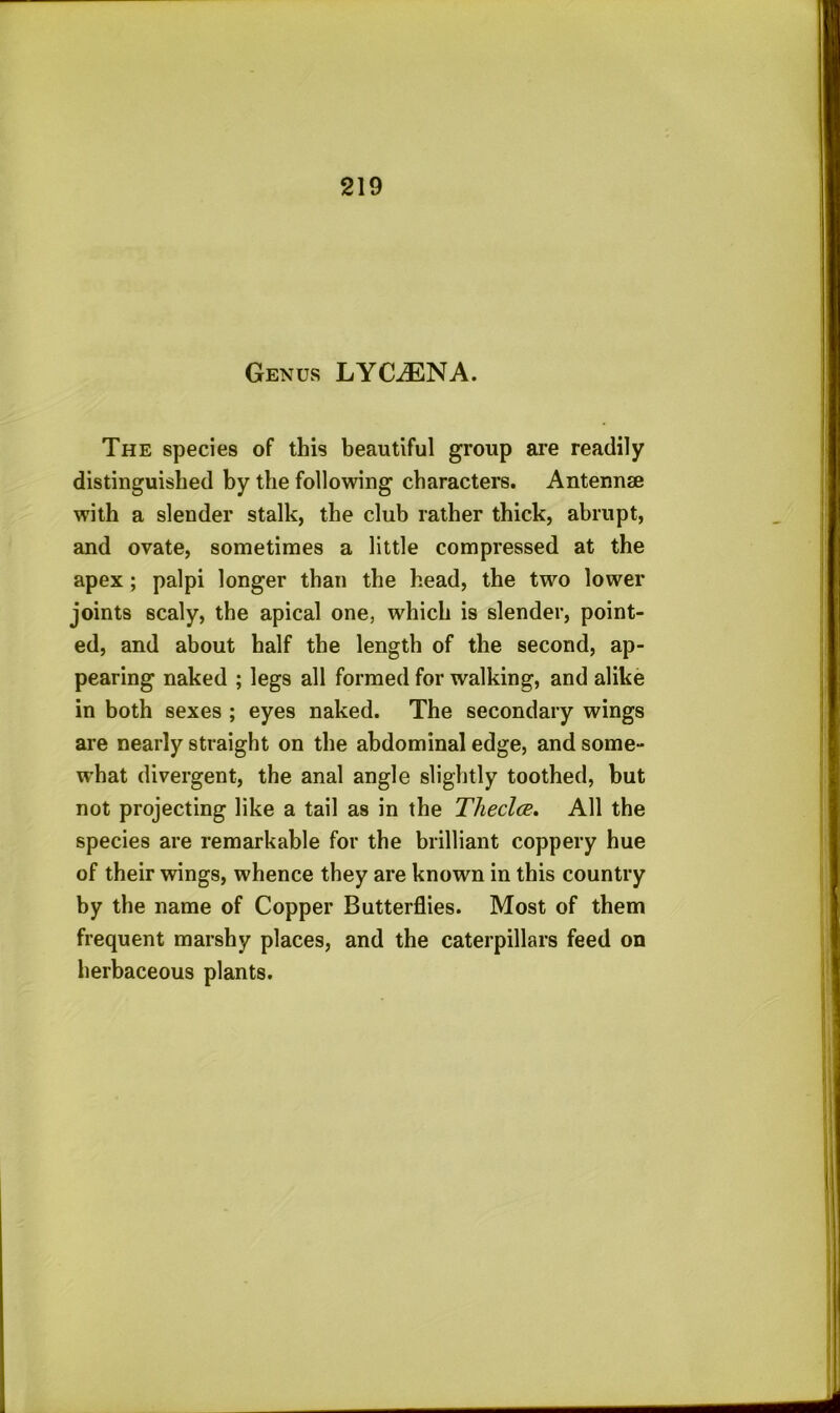 Genus LYC^ENA. The species of this beautiful group are readily distinguished by the following characters. Antennae with a slender stalk, the club rather thick, abrupt, and ovate, sometimes a little compressed at the apex ; palpi longer than the head, the two lower joints scaly, the apical one, which is slender, point- ed, and about half the length of the second, ap- pearing naked ; legs all formed for walking, and alike in both sexes ; eyes naked. The secondary wings are nearly straight on the abdominal edge, and some- what divergent, the anal angle slightly toothed, hut not projecting like a tail as in the Theclce. All the species are remarkable for the brilliant coppery hue of their wings, whence they are known in this country by the name of Copper Butterflies. Most of them frequent marshy places, and the caterpillars feed on herbaceous plants.