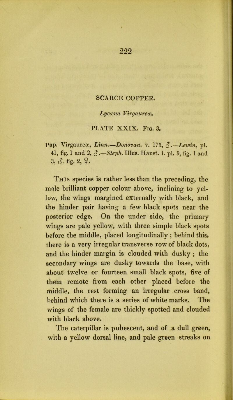 SCARCE COPPER. Lyccena Virgaurece. PLATE XXIX. Fig. 3. Pap. Virgaureae, Linn.-—Donovan, v. 173, <£.—Lewin, pi. 41, fig. 1 and 2, —Steph. Ulus. Haust. i. pi. 9, fig. 1 and 3, <J. fig. 2, ?. This species is rather less than the preceding, the male brilliant copper colour above, inclining to yel- low, the wings margined externally with black, and the hinder pair having a few black spots near the posterior edge. On the under side, the primary wings are pale yellow, with three simple black spots before the middle, placed longitudinally ; behind this, there is a very irregular transverse row of black dots, and the hinder margin is clouded with dusky ; the secondary wings are dusky towards the base, with about twelve or fourteen small black spots, five of them remote from each other placed before the middle, the rest forming an irregular cross band, behind which there is a series of white marks. The wings of the female are thickly spotted and clouded with black above. The caterpillar is pubescent, and of a dull green, with a yellow dorsal line, and pale green streaks on