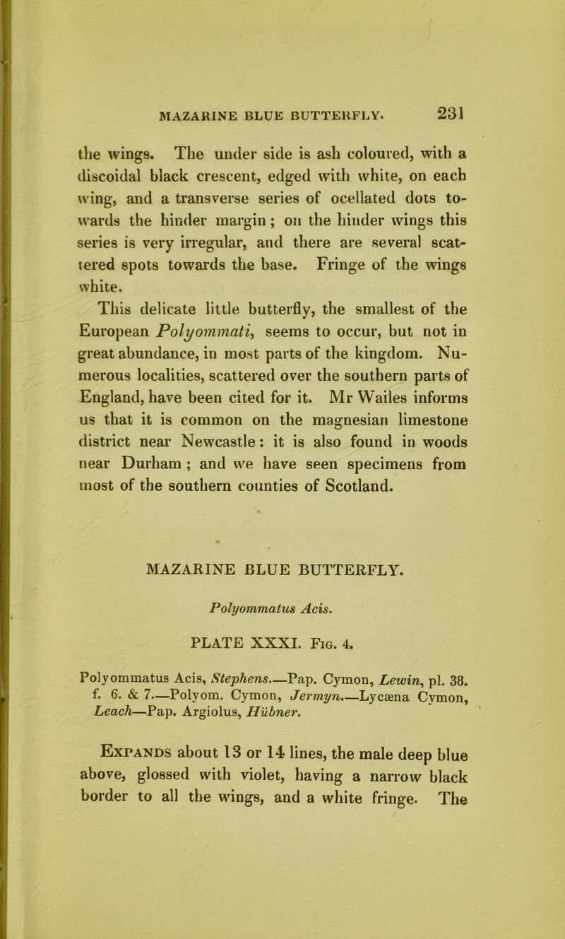 the wings. The under side is ash coloured, with a discoidal black crescent, edged with white, on each wing, and a transverse series of ocellated dots to- wards the hinder margin ; on the hinder wings this series is very irregular, and there are several scat- tered spots towards the base. Fringe of the wings white. This delicate little butterfly, the smallest of the European Polyommati, seems to occur, but not in great abundance, in most parts of the kingdom. Nu- merous localities, scattered over the southern parts of England, have been cited for it. Mr Wailes informs us that it is common on the magnesian limestone district near Newcastle: it is also found in woods near Durham ; and we have seen specimens from most of the southern counties of Scotland. MAZARINE BLUE BUTTERFLY. Polyommatus Acis. PLATE XXXI. Fig. 4. Polyommatus Acis, Stephens—Pap. Cymon, Lewin, pi. 38. f. 6. & 7—Polyom. Cymon, Jermyn.—Lyciena Cymon, Leach—Pap. Argiolus, Hubner. Expands about 13 or 14? lines, the male deep blue above, glossed with violet, having a narrow black border to all the wings, and a white fringe. The