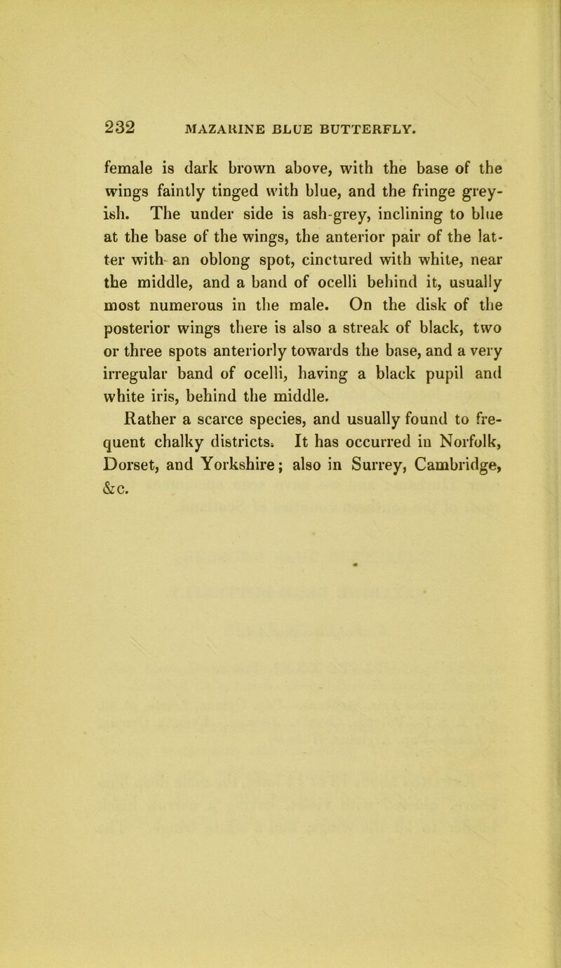 female is dark brown above, with the base of the wings faintly tinged with blue, and the fringe grey- ish. The under side is ash-grey, inclining to blue at the base of the wings, the anterior pair of the lat- ter with an oblong spot, cinctured with white, near the middle, and a band of ocelli behind it, usually most numerous in the male. On the disk of the posterior wings there is also a streak of black, two or three spots anteriorly towards the base, and a very irregular band of ocelli, having a black pupil and white iris, behind the middle. Rather a scarce species, and usually found to fre- quent chalky districts* It has occurred in Norfolk, Dorset, and Yorkshire; also in Surrey, Cambridge, &c.