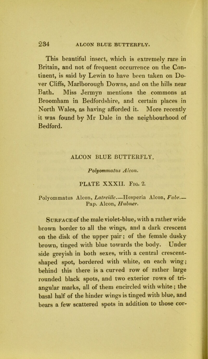 This beautiful insect, which is extremely rare in Britain, and not of frequent occurrence on the Con- tinent, is said by Lewin to have been taken on Do- ver Cliffs, Marlborough Downs, and on the hills near Bath. Miss Jermyn mentions the commons at Broomham in Bedfordshire, and certain places in North Wales, as having afforded it. More recently it was found by Mr Dale in the neighbourhood of Bedford. ALCON BLUE BUTTERFLY. Polyommatus Alcon. PLATE XXXII. Fig. 2. Polyommatus Alcon, Latreille.—Hesperia Alcon, Fabr— Pap. Alcon, Hubner. SuRFACEof the male violet-blue, with a rather wide brown border to all the wings, and a dark crescent on the disk of the upper pair; of the female dusky brown, tinged with blue towards the body. Under side greyish in both sexes, with a central crescent- shaped spot, bordered with white, on each wing; behind this there is a curved row of rather large rounded black spots, and two exterior rows of tri- angular marks, all of them encircled with white ; the basal half of the hinder wings is tinged with blue, and bears a few scattered spots in addition to those cor-